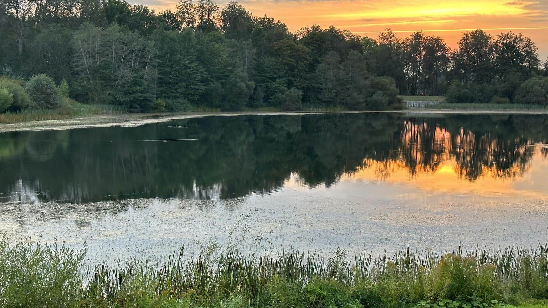 एस्टोनिया स्थित झीलों के किनारे बसे इन 5 गांवों की यात्रा करना होगा शानदार अनुभव