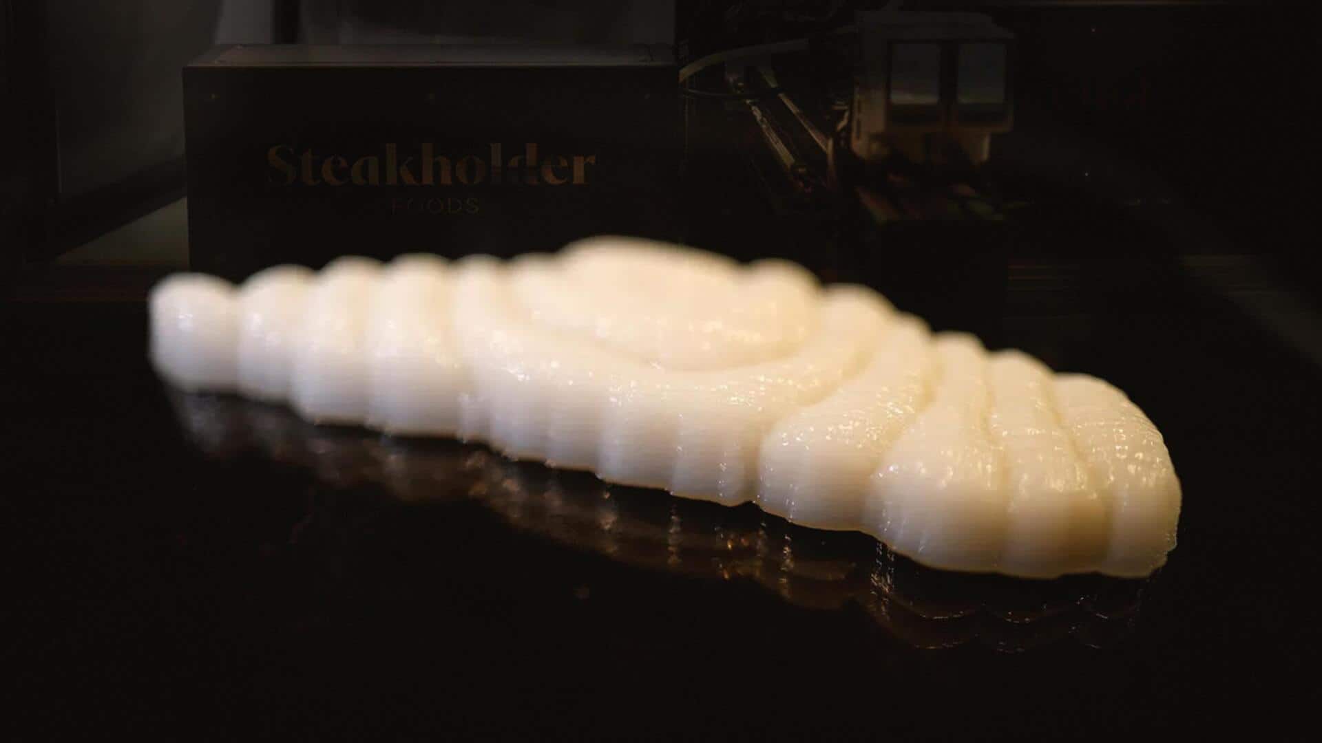 लैब में 3D प्रिंटर से तैयार हुआ मछली का टुकड़ा, स्वाद में नहीं कर पाएंगे अंतर