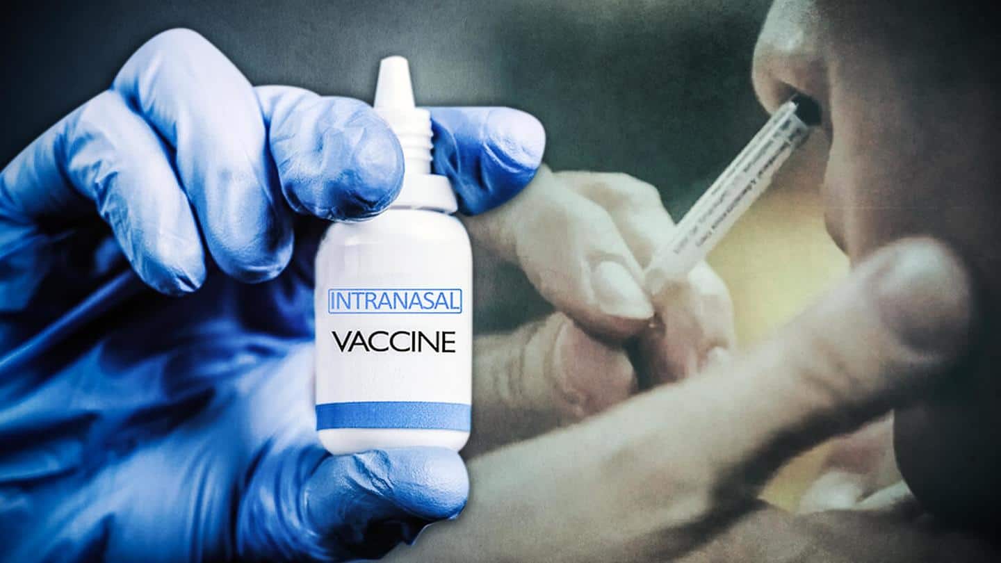 कोरोना: इंट्रानेजल वैक्सीन क्या होती है और इसके क्या फायदे हैं?