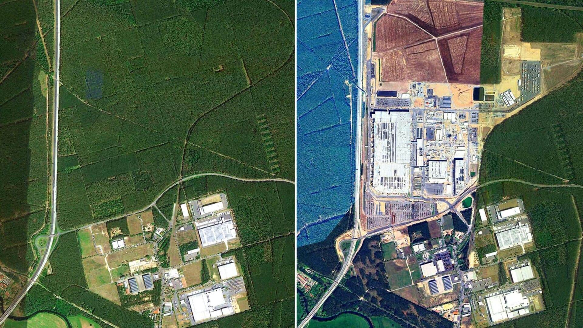 टेस्ला की फैक्ट्री बनाने के लिए काटे गए 5 लाख पेड़, सैटेलाइट तस्वीर से हुआ खुलासा