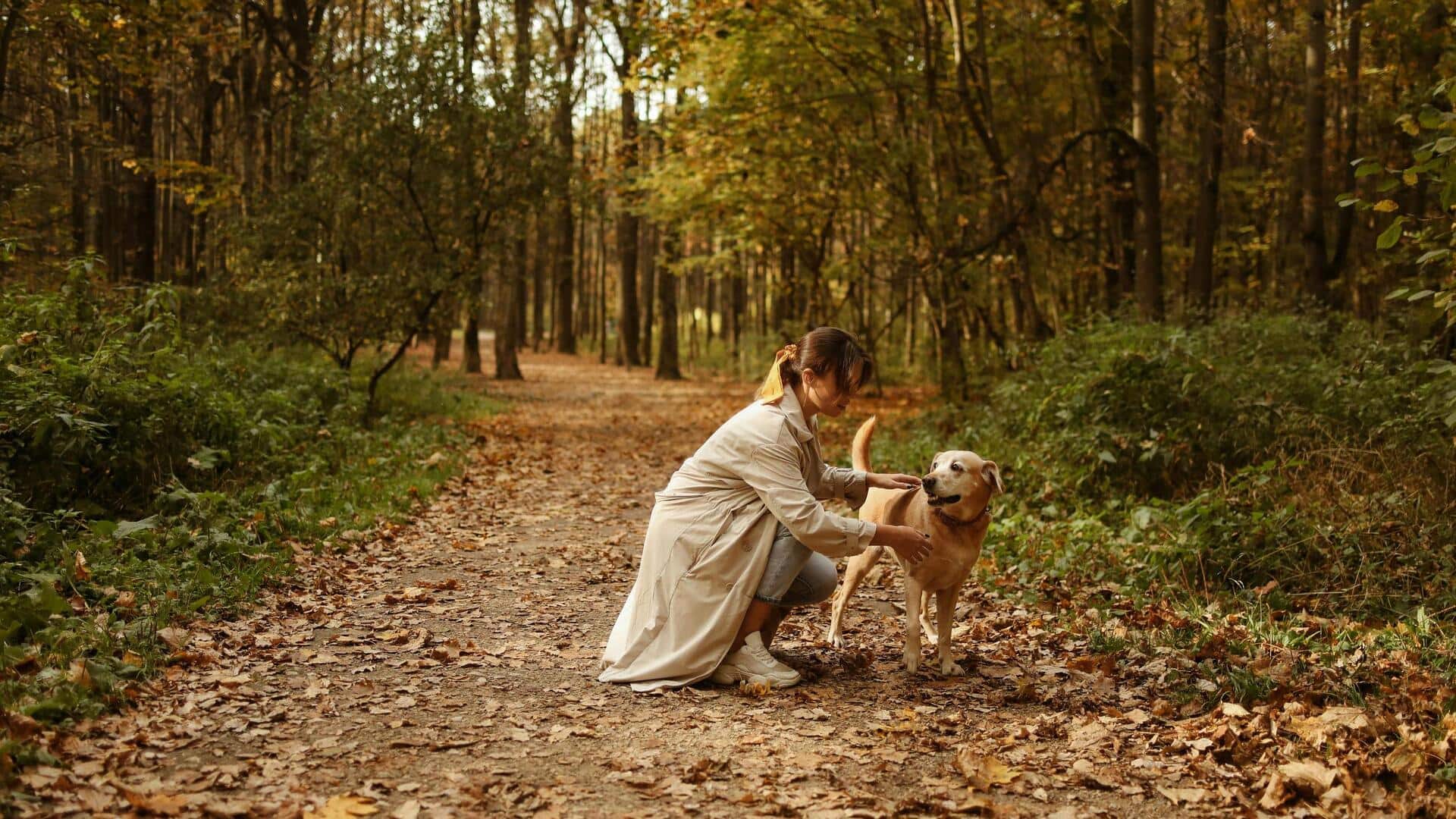 जानवरों की जीवन गुणवत्ता को सुधारने में मदद कर सकते हैं ये 5 काम