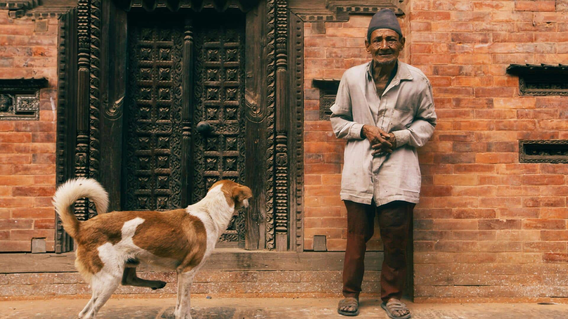 बुजुर्गों के लिए कुत्ता पालना हो सकता है बेहतरीन निर्णय, जानिए इससे होने वाले फायदे