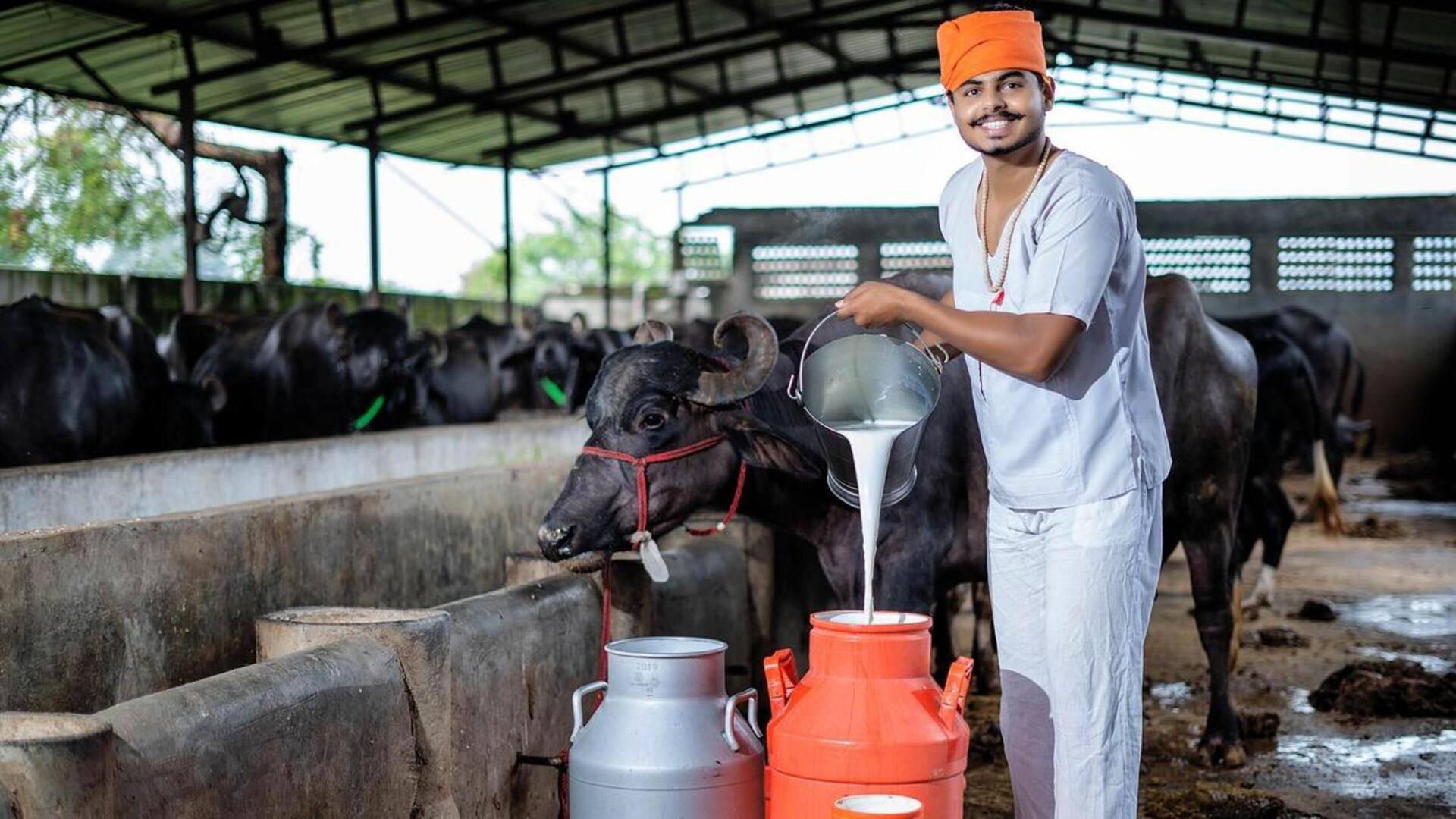 मुंबई: गणेश चतुर्थी से पहले महंगाई का झटका, भैंस का दूध 2 रुपये प्रति लीटर बढ़ा