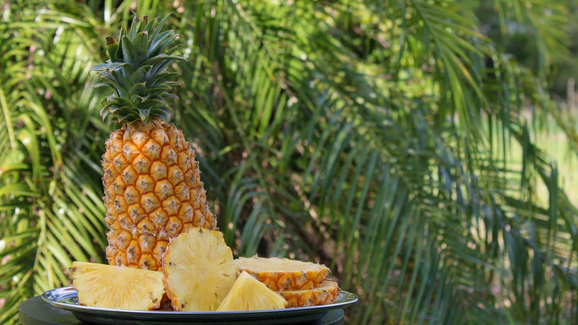 अनानास के तने को फेंकने के बजाय इन 5 तरीकों से किया जा सकता है इस्तेमाल 