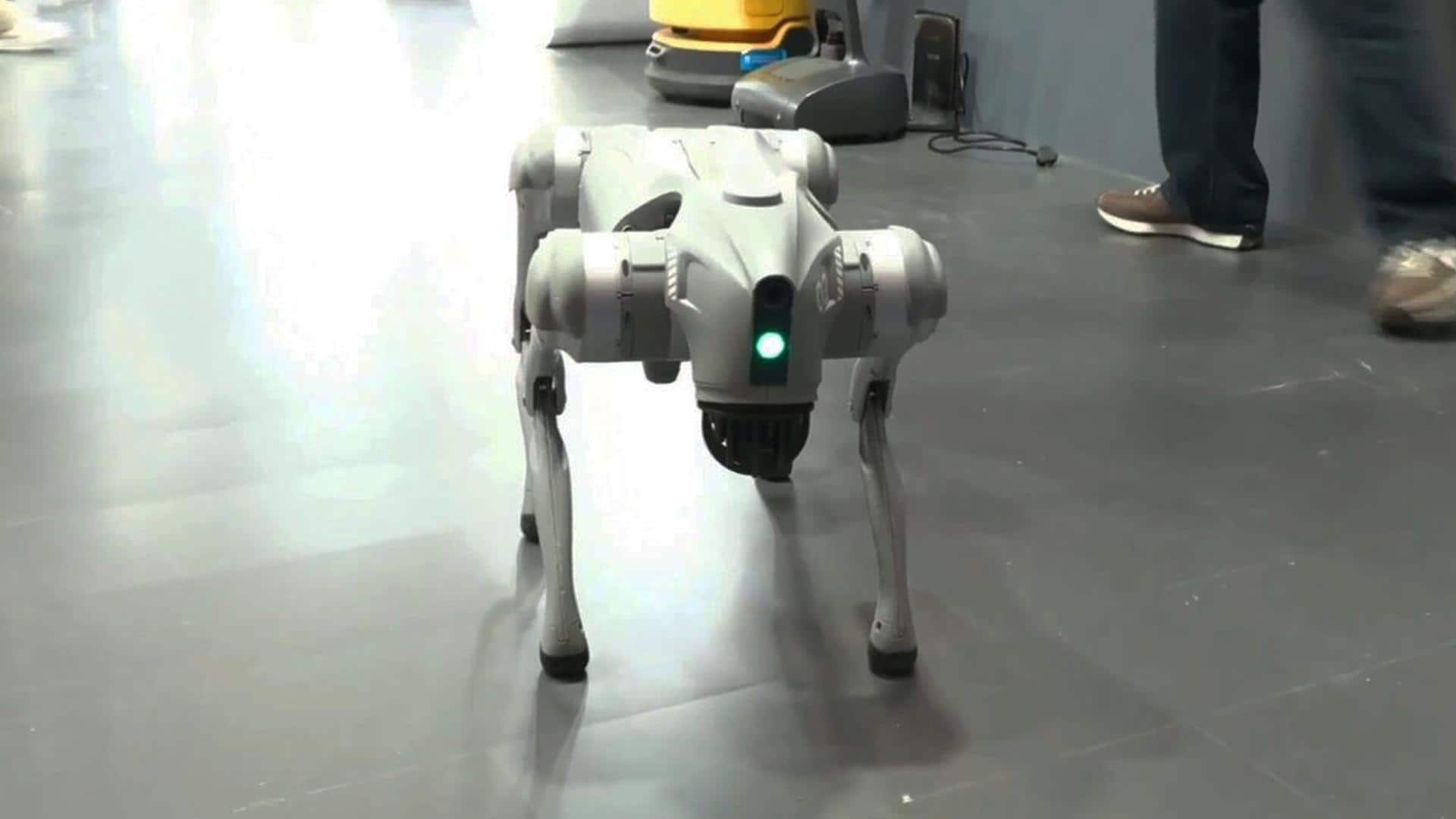 क्या है यूनिट्री रोबोडॉग? AI समिट में गलगोटिया यूनिवर्सिटी के इस प्रदर्शन से उपजा विवाद