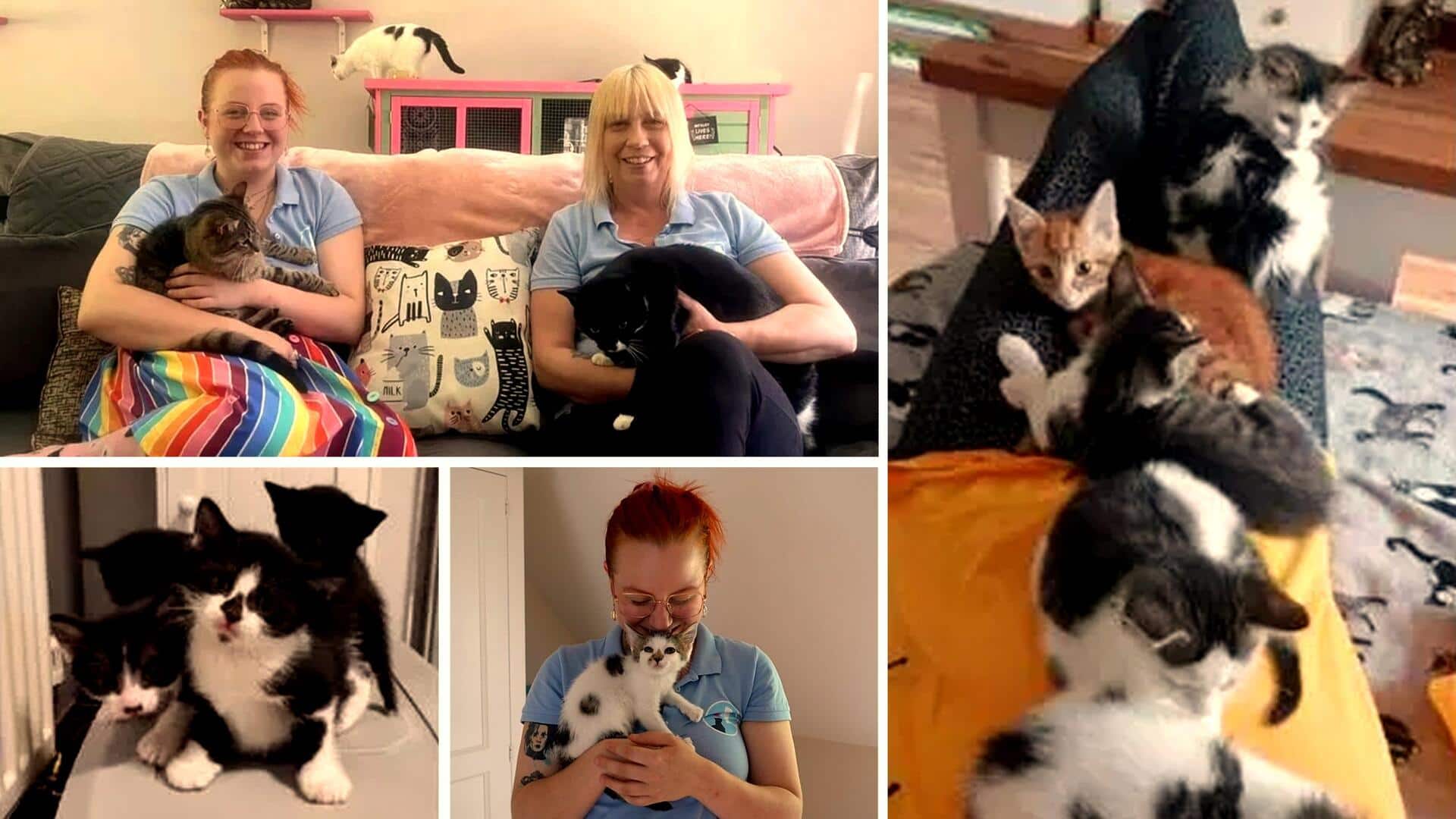 UK: घर में 70 से अधिक बिल्लियों के साथ रहती हैं ये मां-बेटी, जानिए कारण