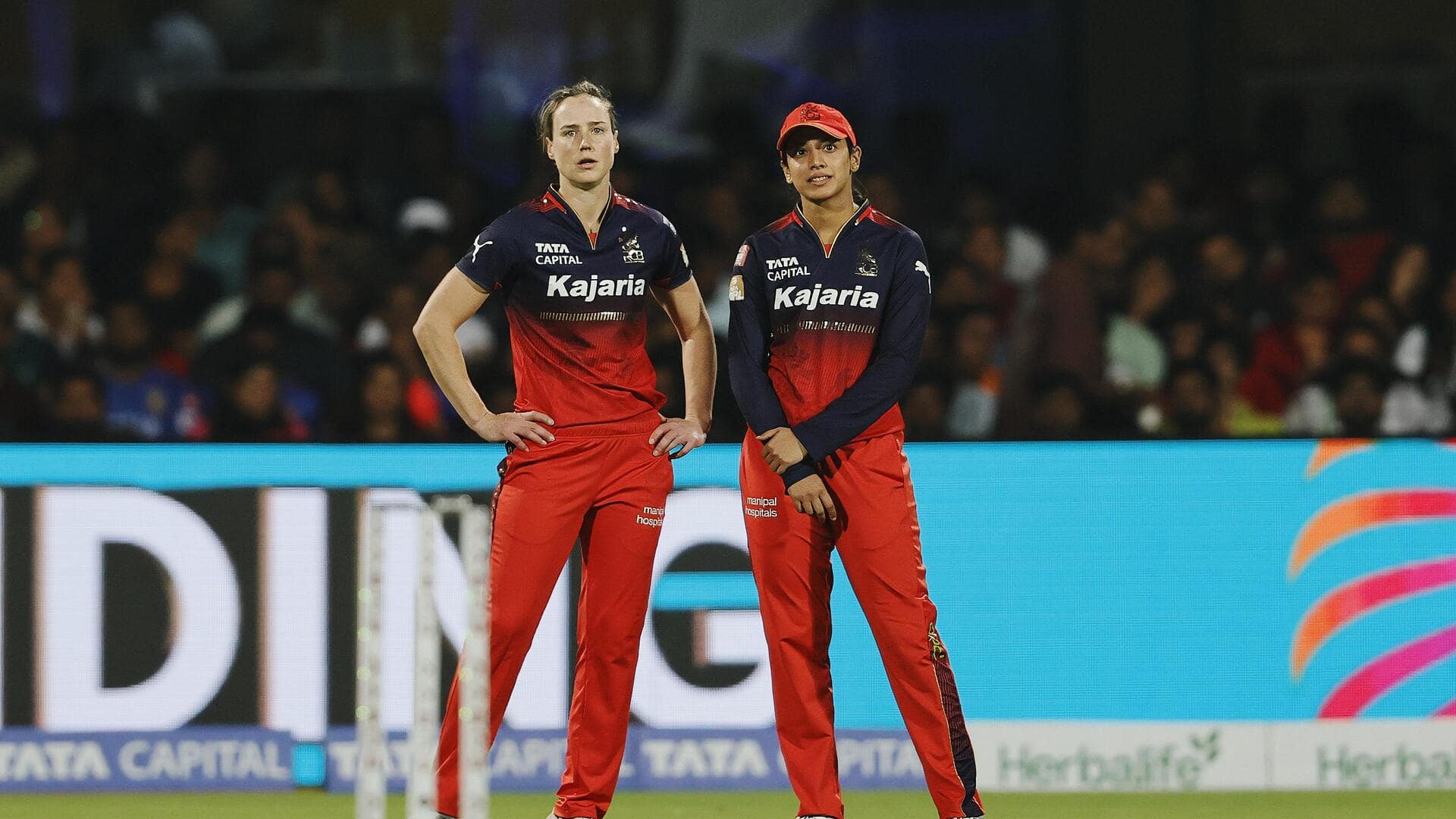 WPL 2026: एलिस पेरी और एनाबेल सदरलैंड ने आगामी सीजन से अपना नाम वापस लिया