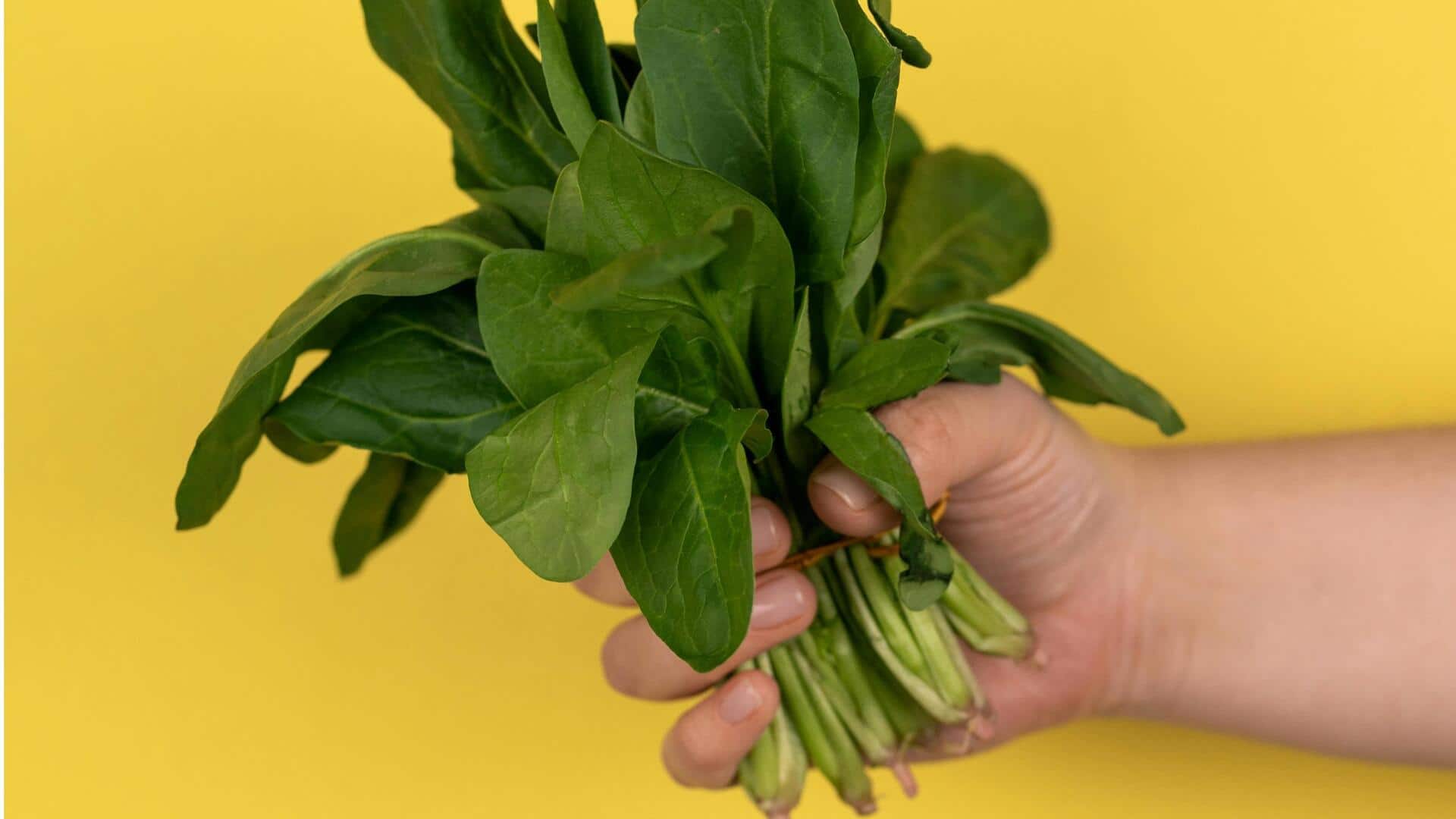 अपने किचन गार्डन में पालक उगाना चाहते हैं तो अपनाएं ये 5 सुझाव, मिलेगी अच्छी फसल