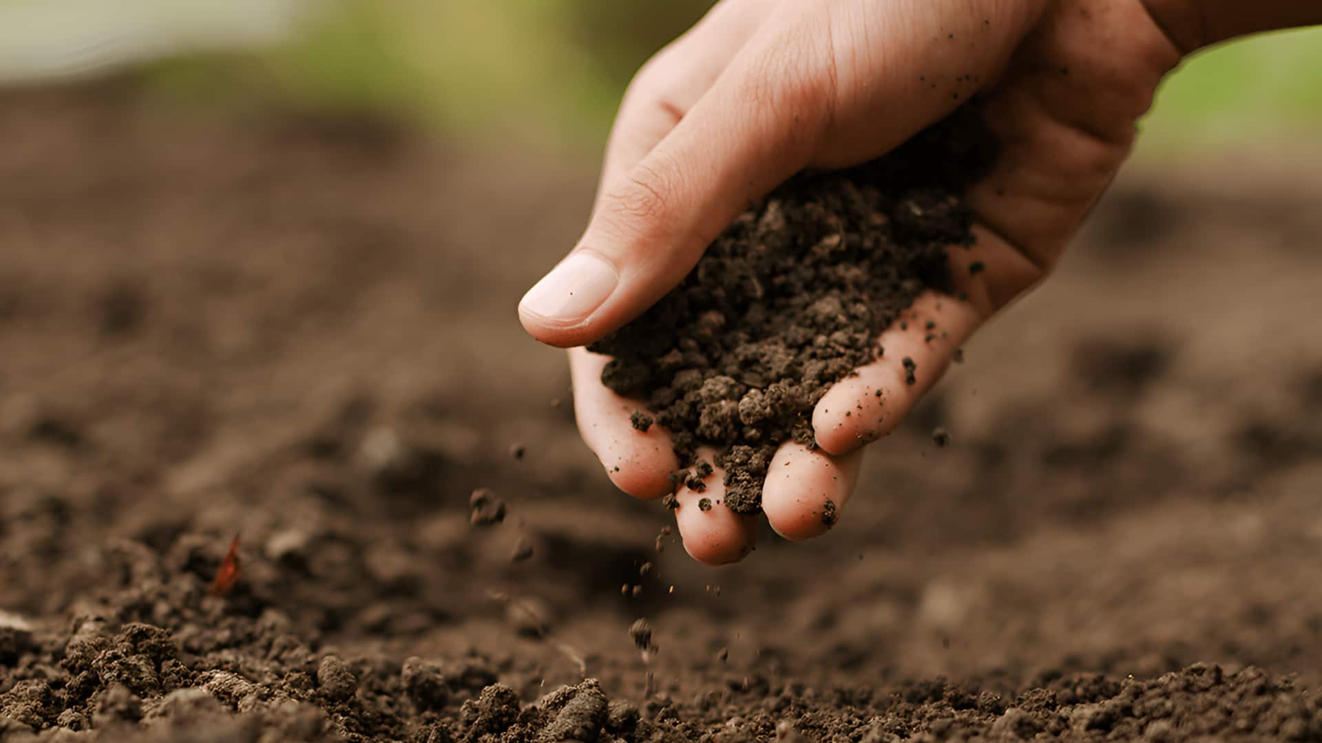 टिकाऊ भूमि प्रबंधन में बड़े काम आ रही AI तकनीक, उपयोगी हैं ये 5 टूल