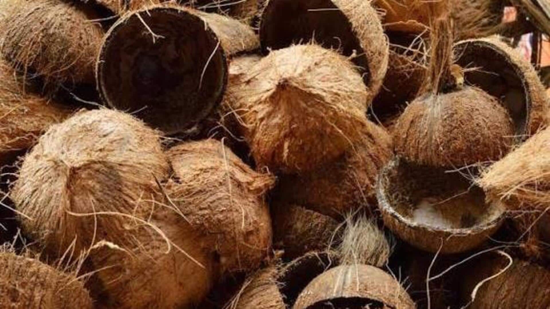 नारियल का छिलका फेंकने की बजाय आजमाएं ये बेहतरीन तरीके