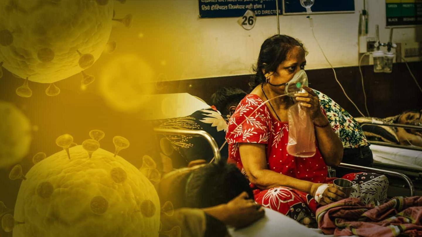 येलो फंगस को बताया जा रहा है सबसे अधिक खतरनाक येलो फंगस को बताया जा रहा है सबसे अधिक खतरनाक