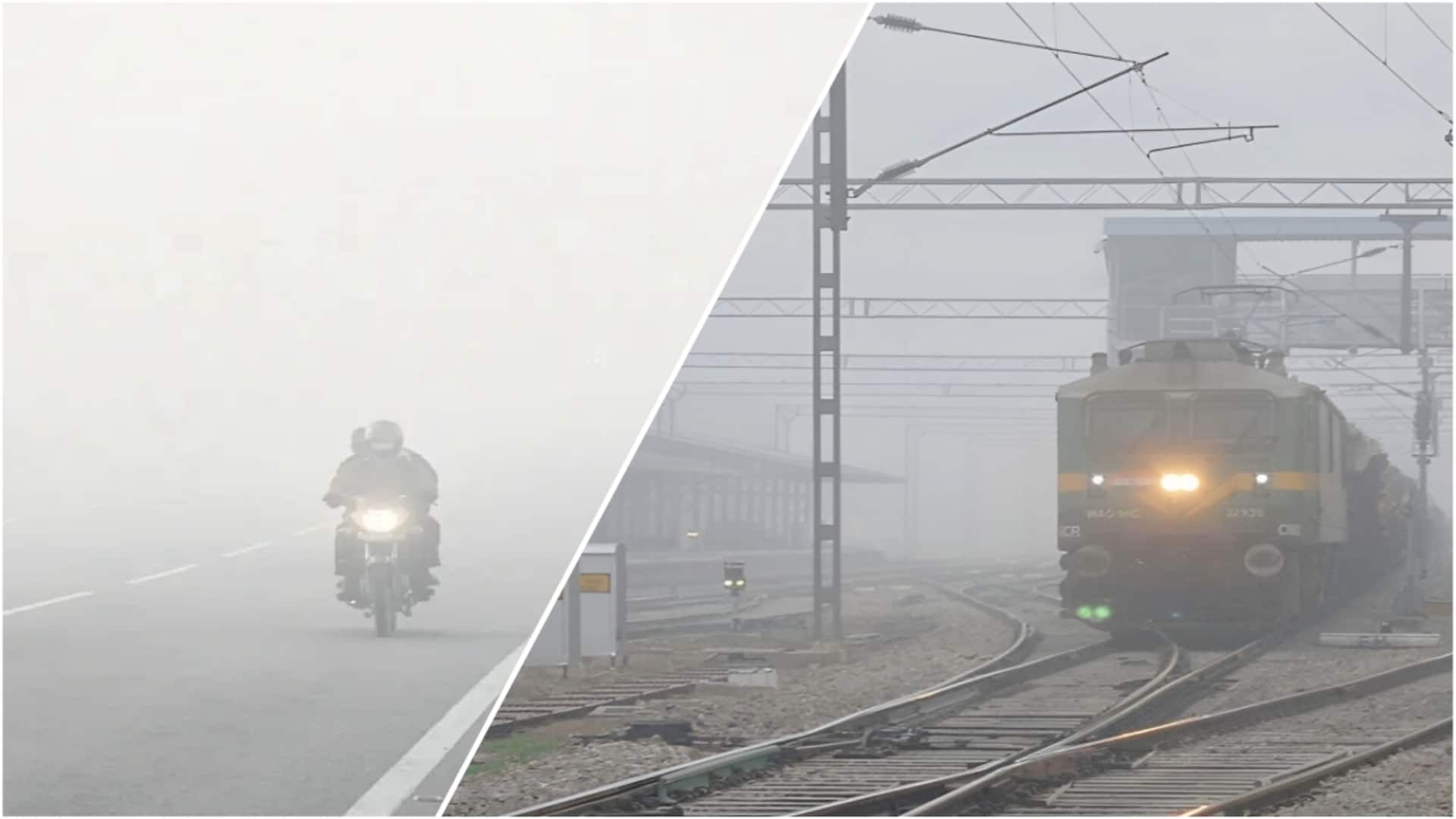 घने कोहरे-शीतलहर से उत्तर भारत में थमा जीवन, उड़ाने रद्द और ट्रेनें घंटों लेट 