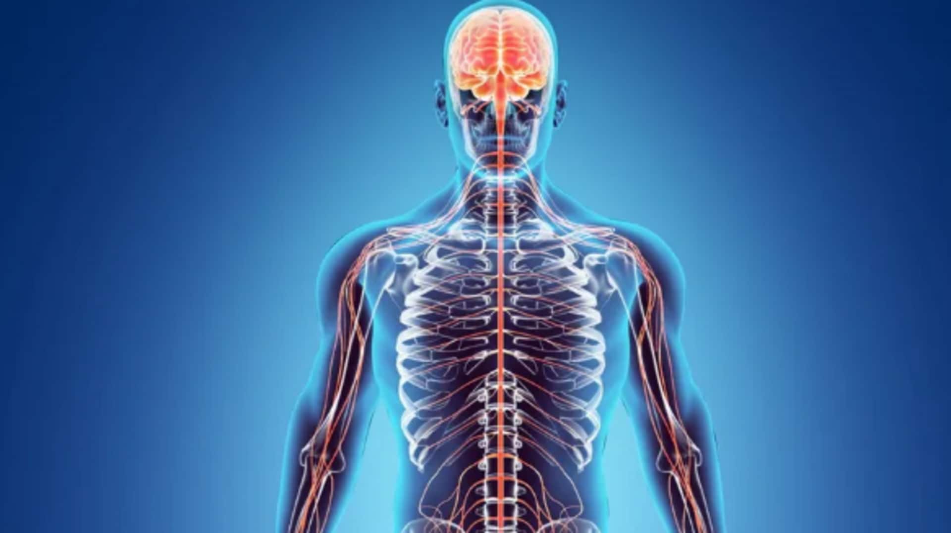 हमारे शरीर से जुड़ी ये अजीब बातें कर देंगी हैरान, पहले कभी नहीं सुनी होंगी