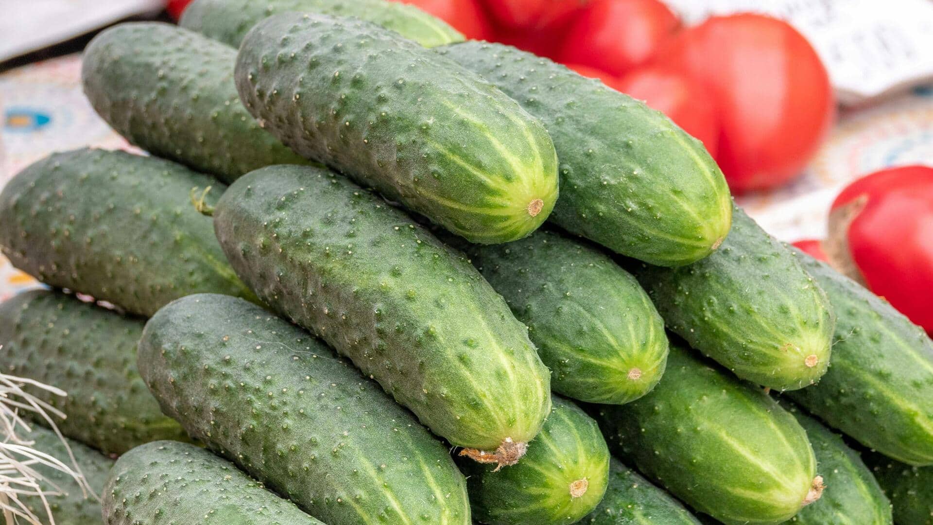 घर के बगीचे में आसानी से उगाया जा सकता है खीरा, जानिए इसका तरीका