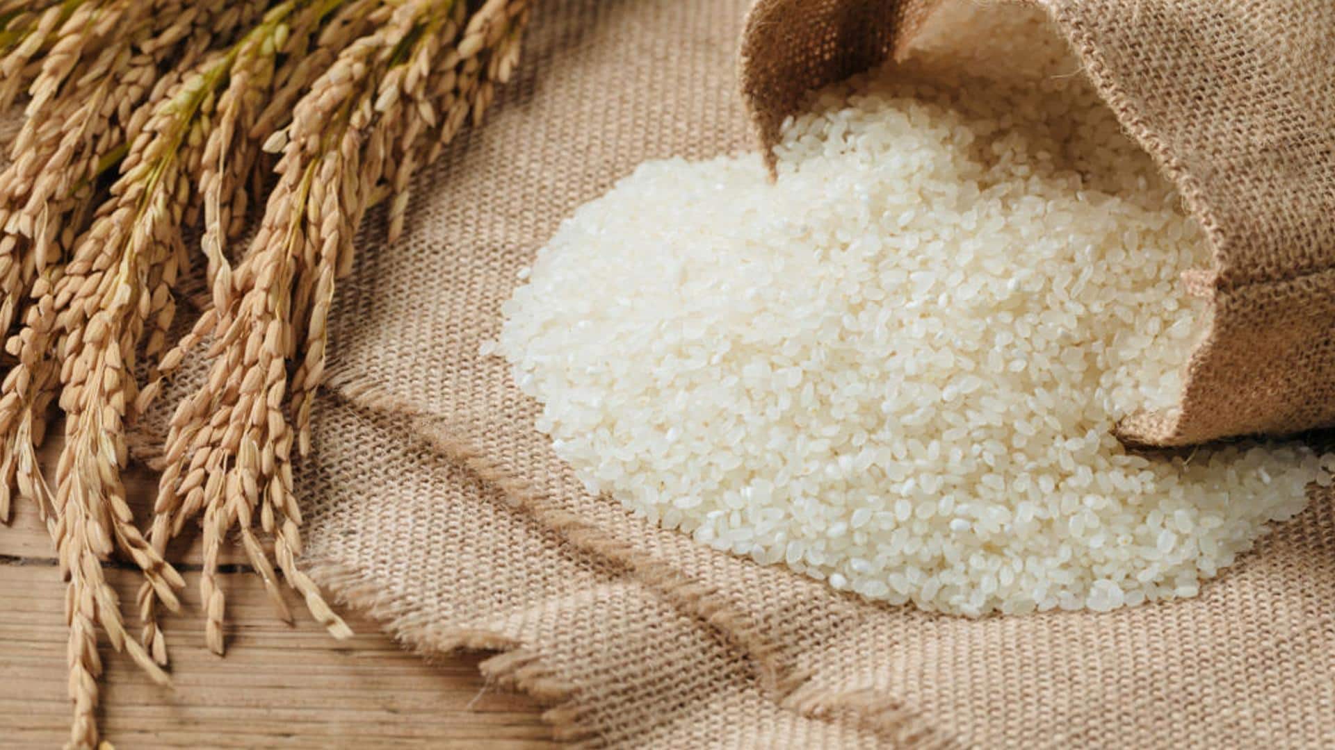 धान की खरीद बढ़ने से भारत का चावल स्टॉक रिकॉर्ड ऊंचाई पर पहुंचा