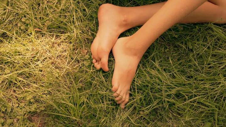 सुबह-सुबह घास पर नंगे पैर चलने से स्वास्थ्य को मिलते हैं ये 5 फायदे