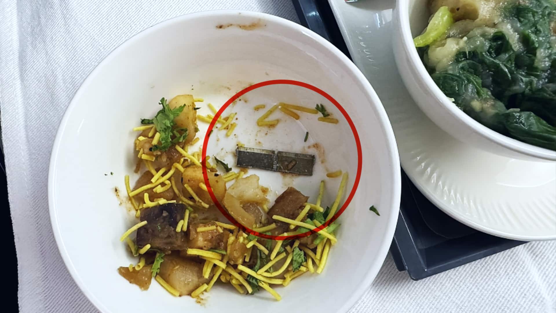 एयर इंडिया की उड़ान में यात्री को खाने में मिला धारदार ब्लेड
