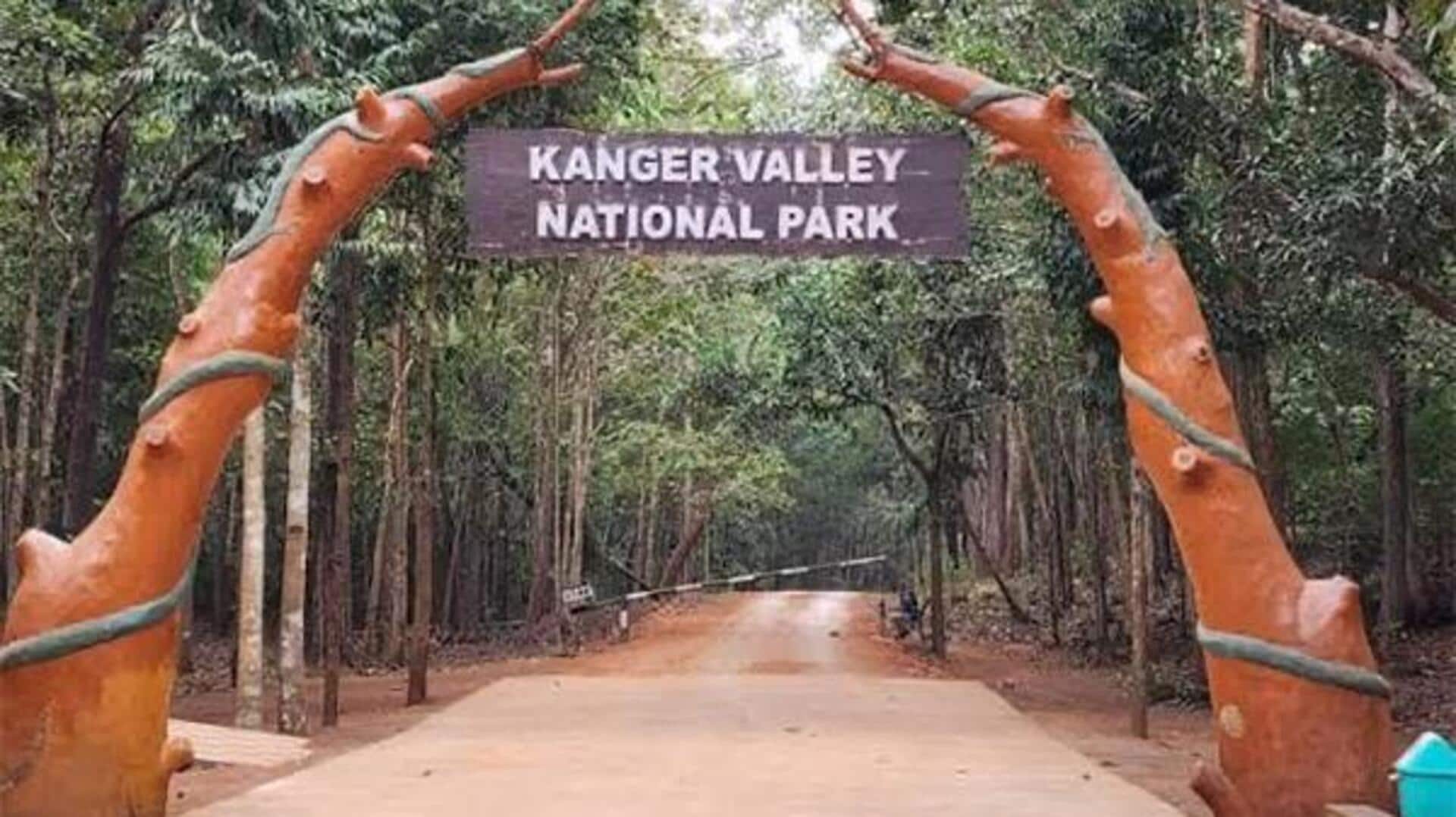 मानसून के दौरान छत्तीसगढ़ की इन 5 जगहों पर घूमंने की बनाएं योजना, यादगार होगा सफर