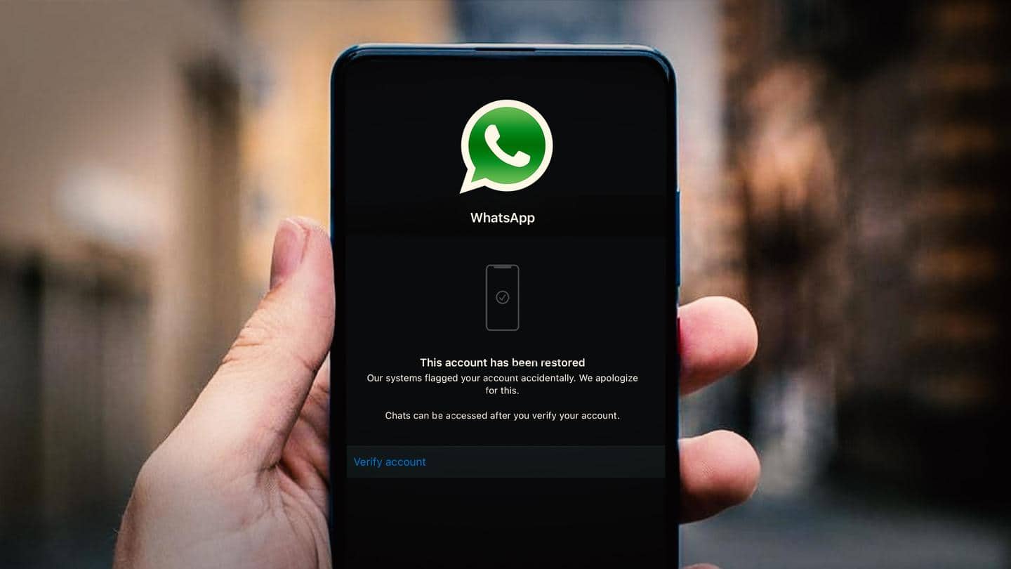 क्या करें अगर व्हाट्सऐप बैन कर दे अकाउंट? नया फीचर कर सकता है मदद