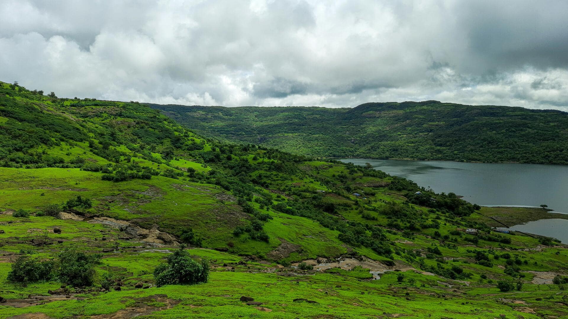 मानसून में वायनाड घूमने जा रहे हैं? ये 5 गतिविधियां आपकी ट्रिप बना देंगी यादगार