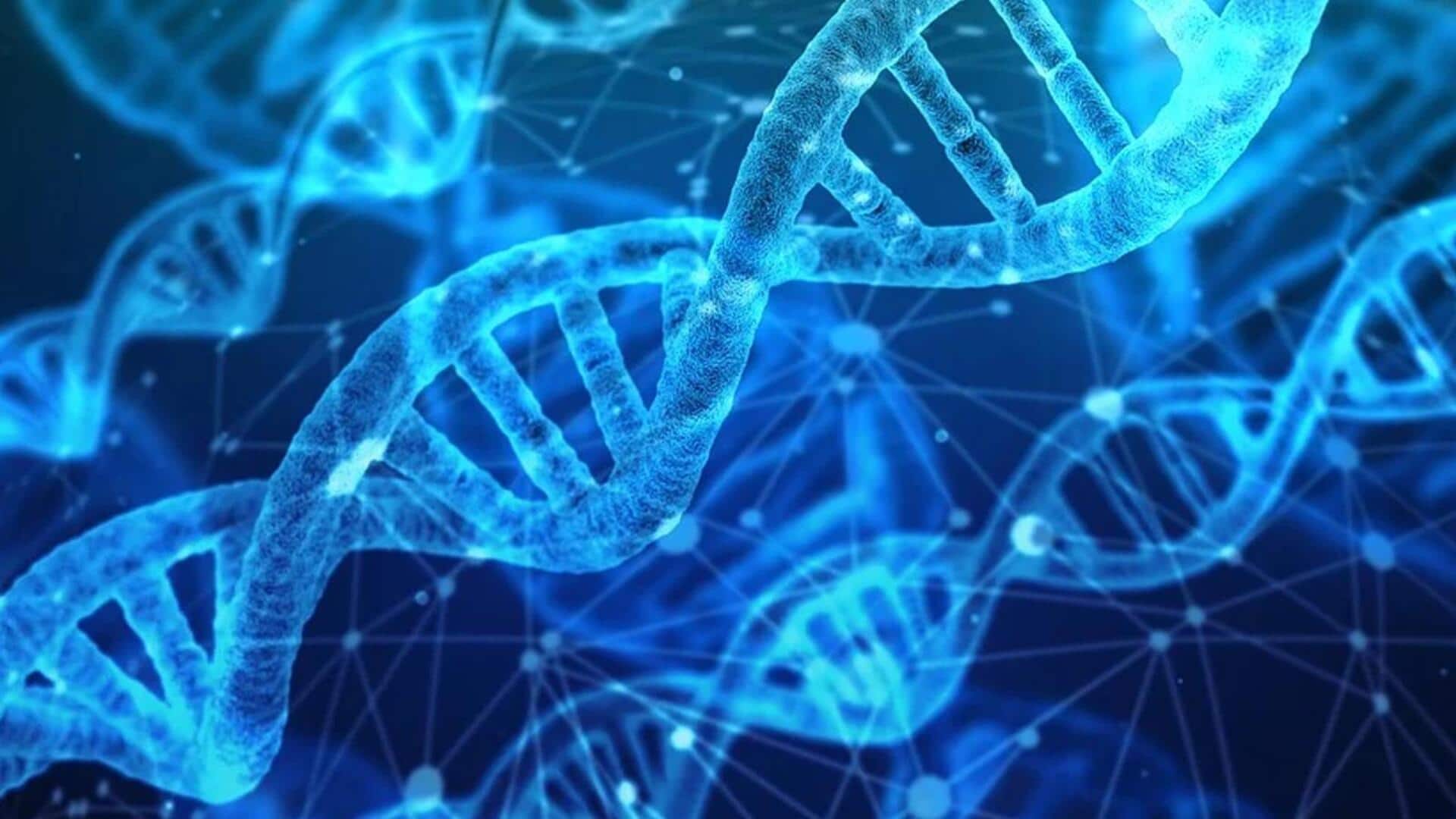 कृत्रिम मानव DNA बनाने का काम हुआ शुरू, जानिए कैसे किया जा रहा तैयार कृत्रिम मानव DNA बनाने का काम हुआ शुरू, जानिए कैसे किया जा रहा तैयार