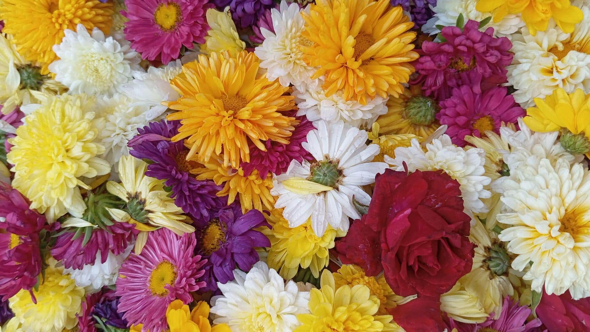 पूजा के बाद बचे फूलों को न फेंके, उनसे इस तरह बना लें अगरबत्ती