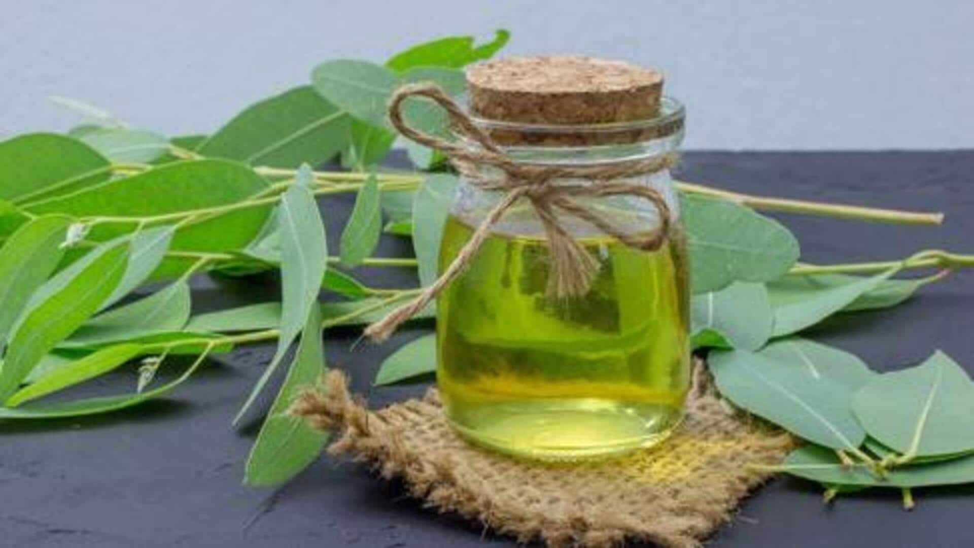 घर के कई कामों को आसान बना सकता है नीलगिरी का तेल, जानिए इसके बेहतरीन उपयोग