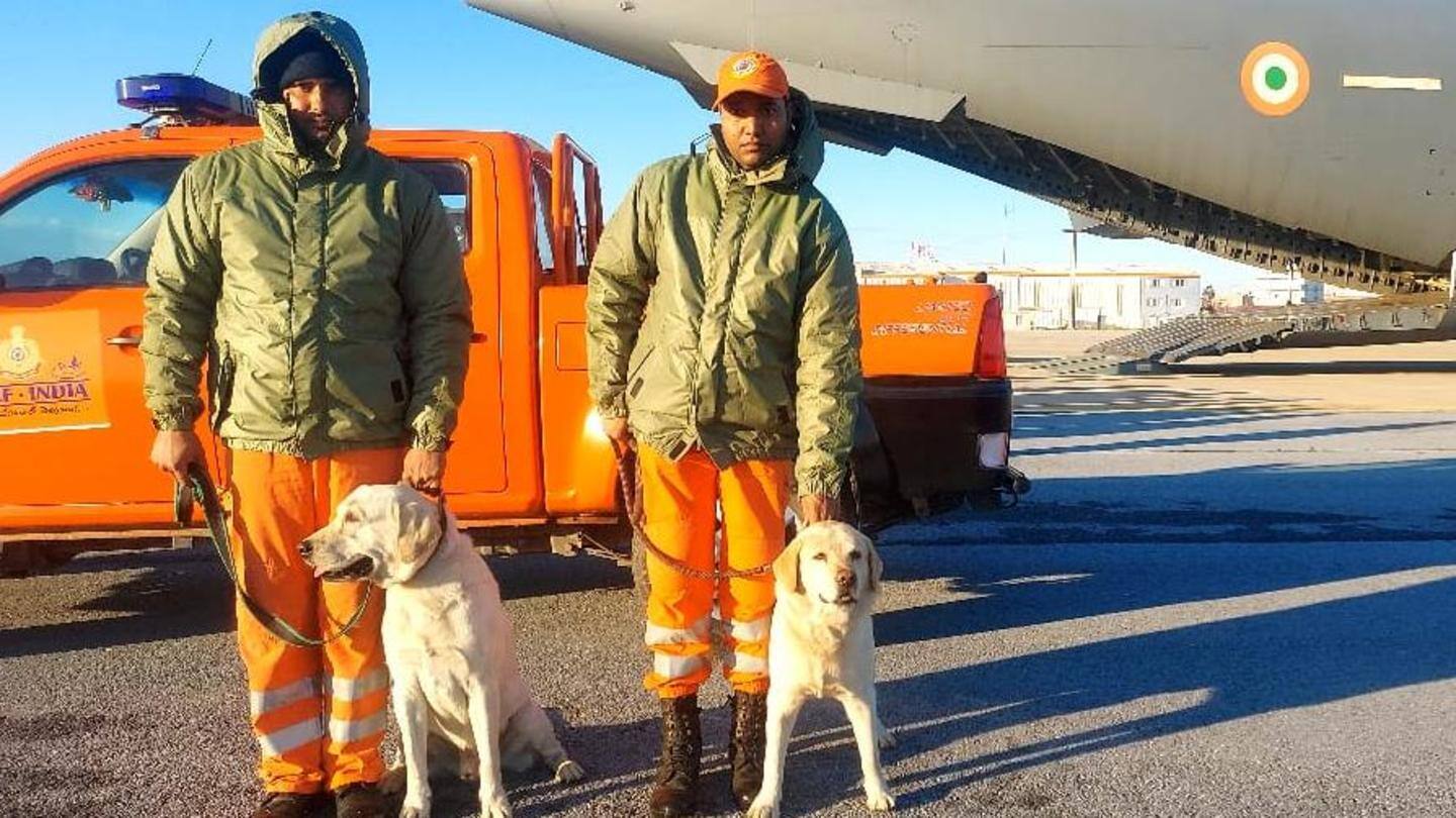तुर्की-सीरिया भूकंप: मलबे में लोगों का पता लगाने में NDRF की मदद कर रहे ये कुत्ते 