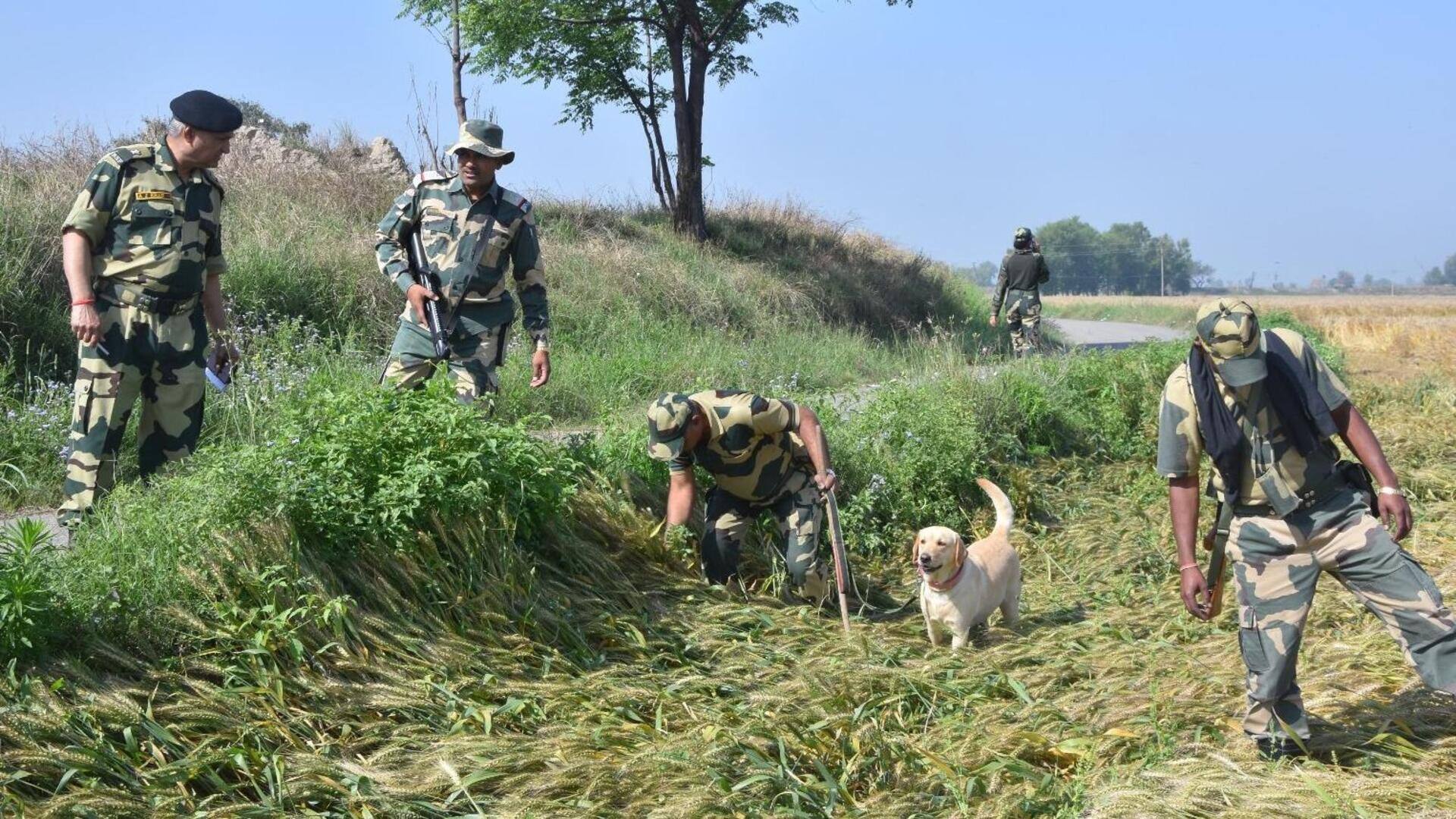पंजाब: फिरोजपुर में सीमा के पास ड्रोन ने खेत में गिराए ड्रग्स, BSF ने जब्त किए