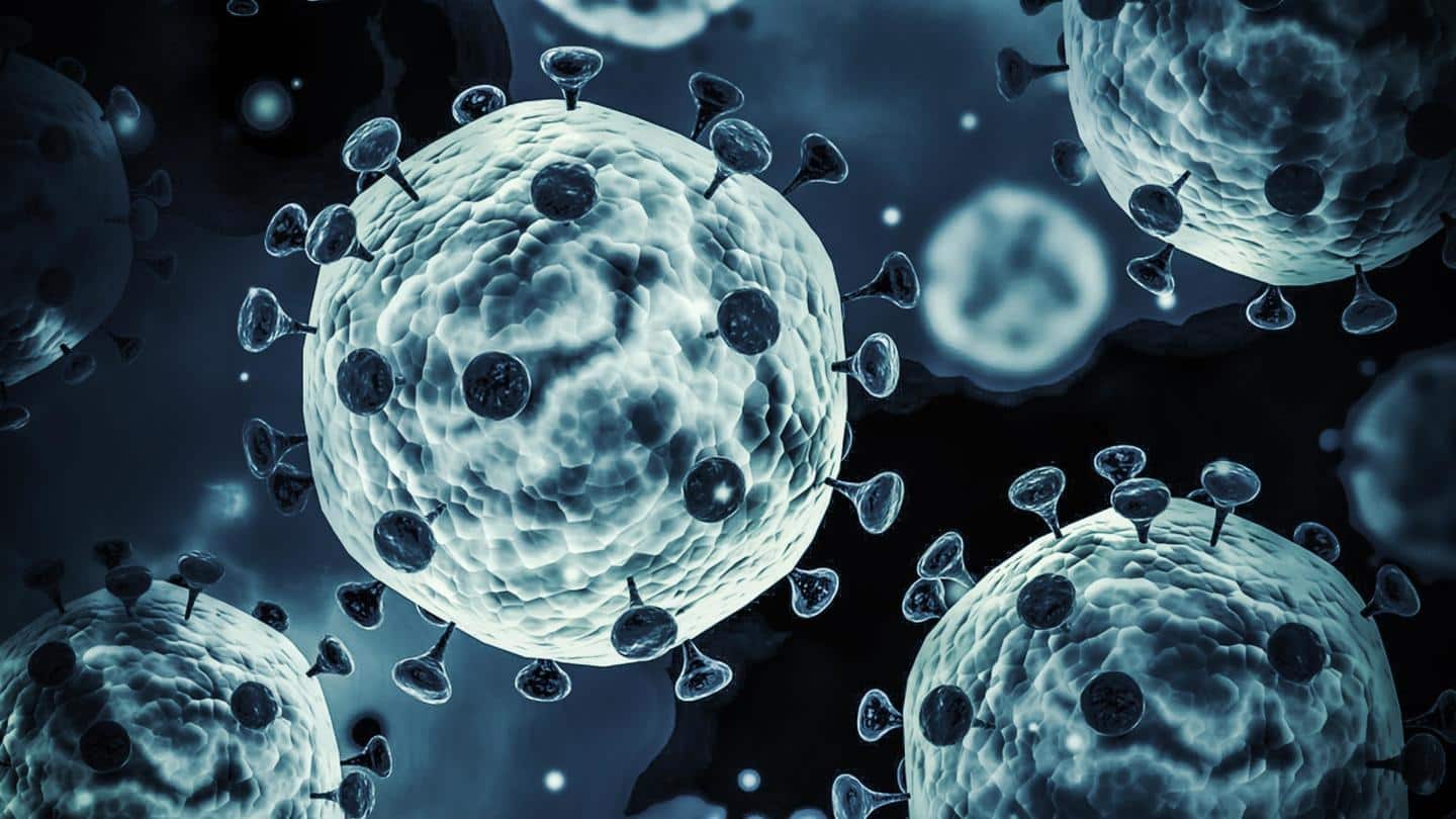 कई खतरनाक वायरसों से बचा सकता है पिकोलिनिक एसिड, भारतीय वैज्ञानिकों ने लगाया पता