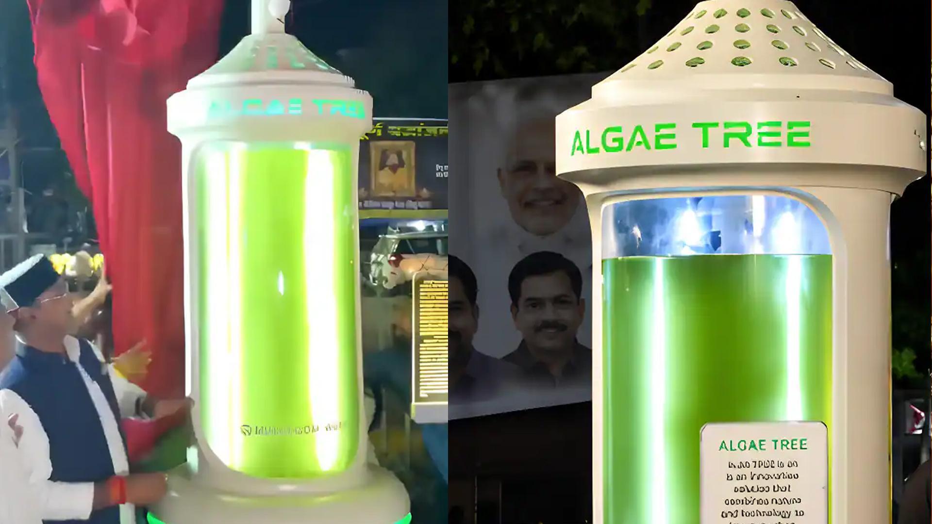 भोपाल में लगा खास एल्गी ट्री बना चर्चा का विषय, कैसे करता है यह काम?