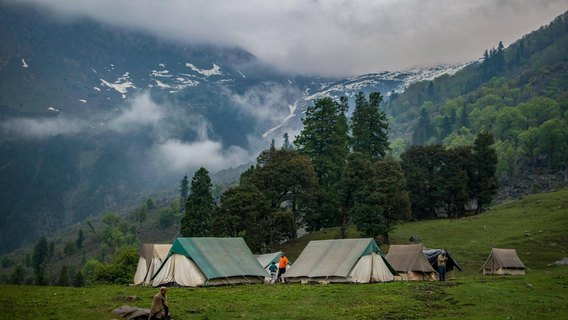 जंगल में कैंपिंग करने से मिल सकते हैं ये 5 फायदे, जरूर आजमाएं