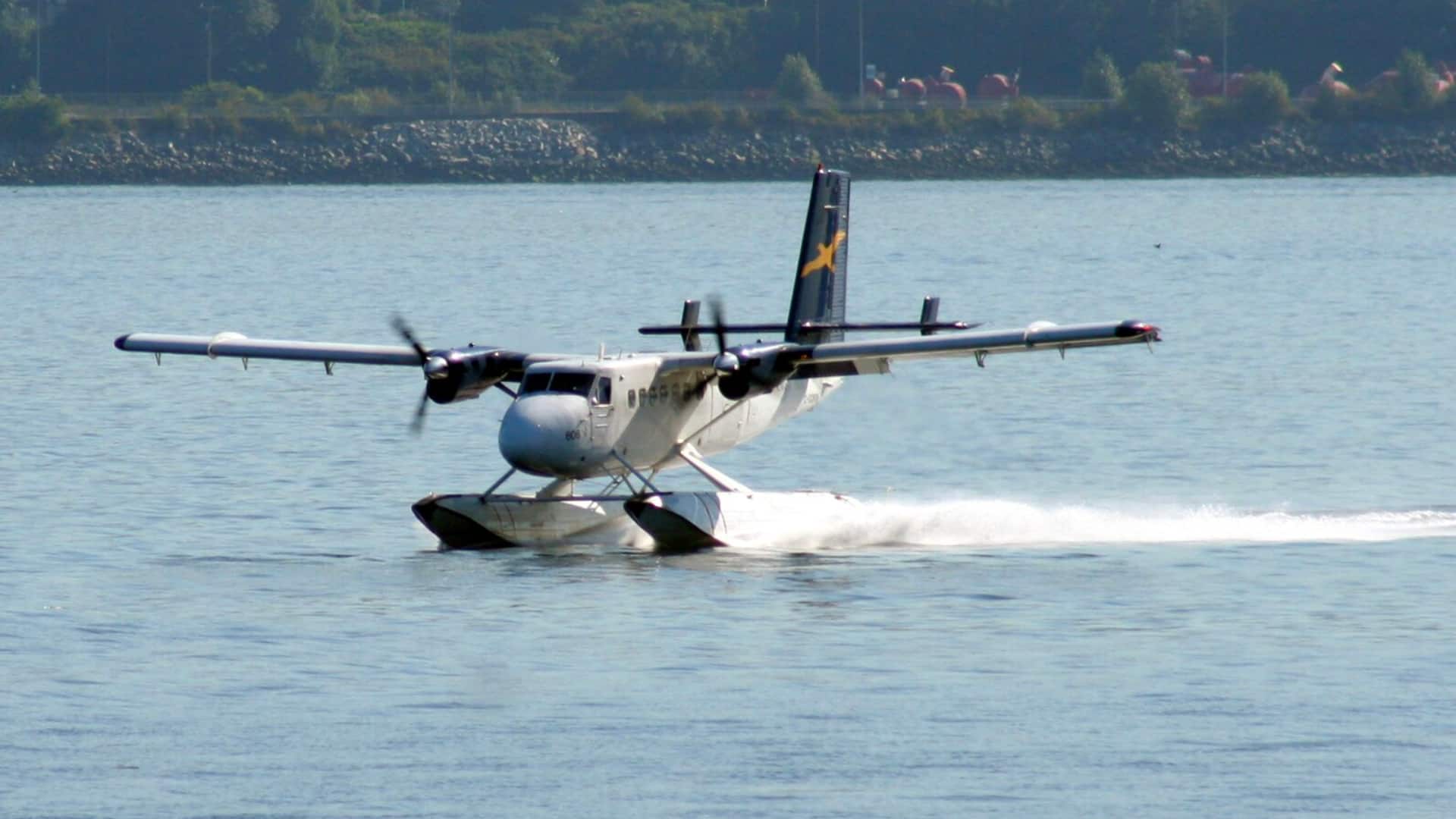 पानी नहीं बर्फ पर भी उतर सकता है यह सी-प्लेन, गंगा की लहरों पर हुआ परीक्षण