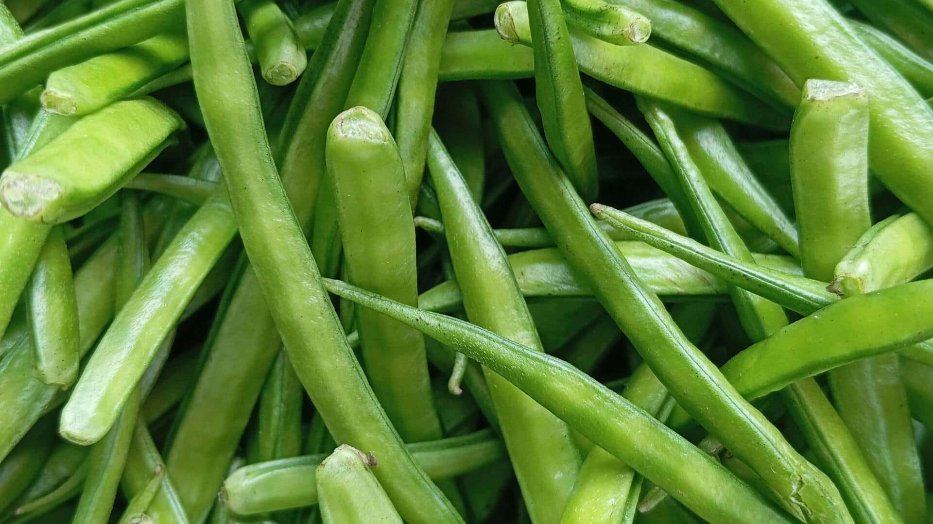 आप कंटेनर में भी उगा सकते हैं क्लस्टर बीन, बस रखना होगा इन बातों का ध्यान