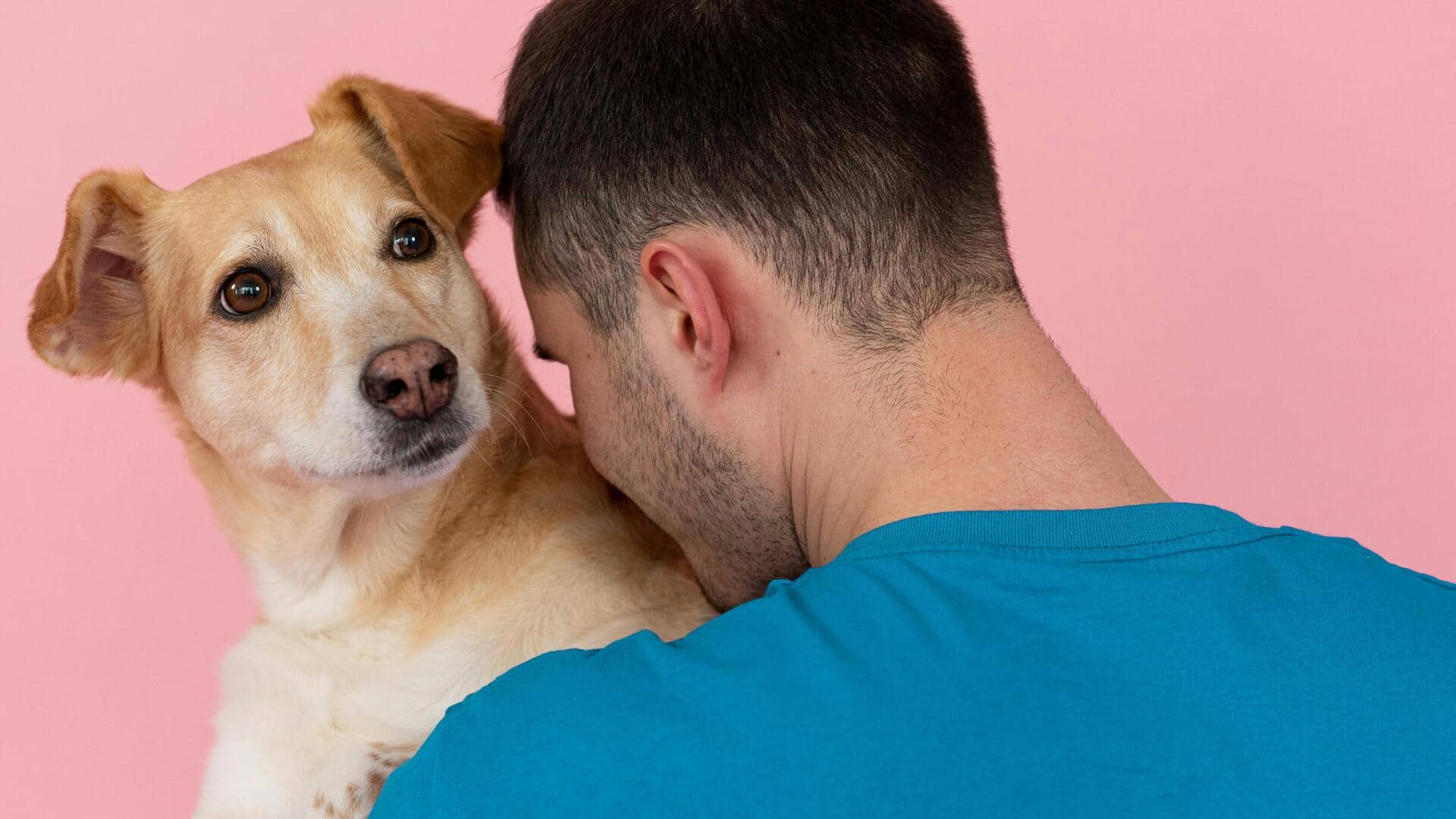 भारत में पालतू जानवर को गोद लेने से पहले जान लें ये 5 बातें, होगा सही चुनाव