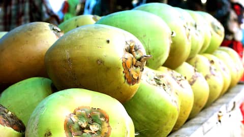 ताजा बनाम पैकेज्ड नारियल पानी: इनमें से किसका सेवन स्वास्थ्य के लिए है फायदेमंद? जानिए