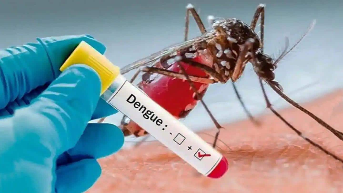 दिल्ली: 2021 में सामने आए डेंगू के 9,613 मामले, 2015 के बाद सबसे ज्यादा