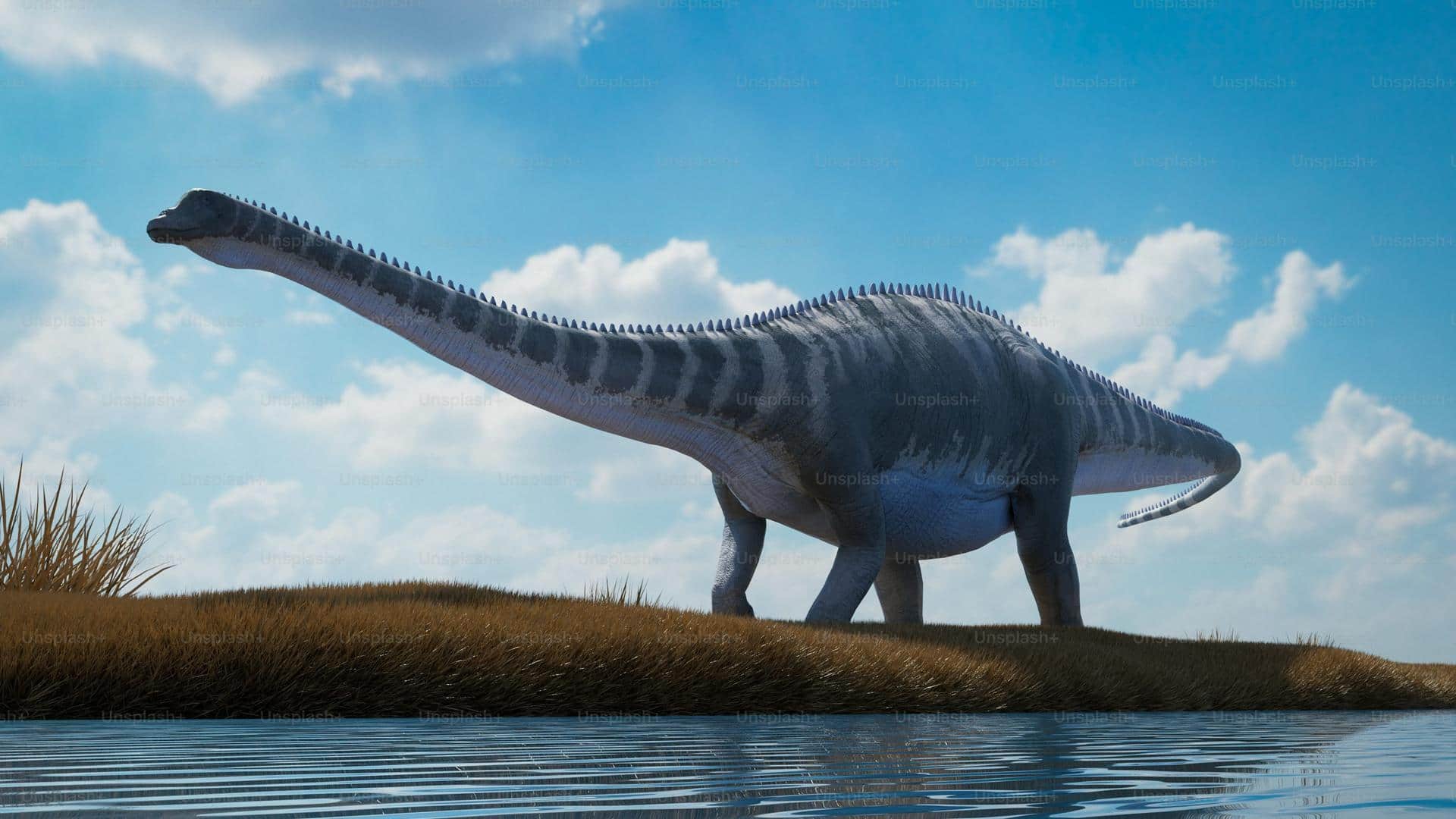 इस देश में मिले 21 करोड़ साल पुराने हजारों डायनासोरों के पैरों के निशान 