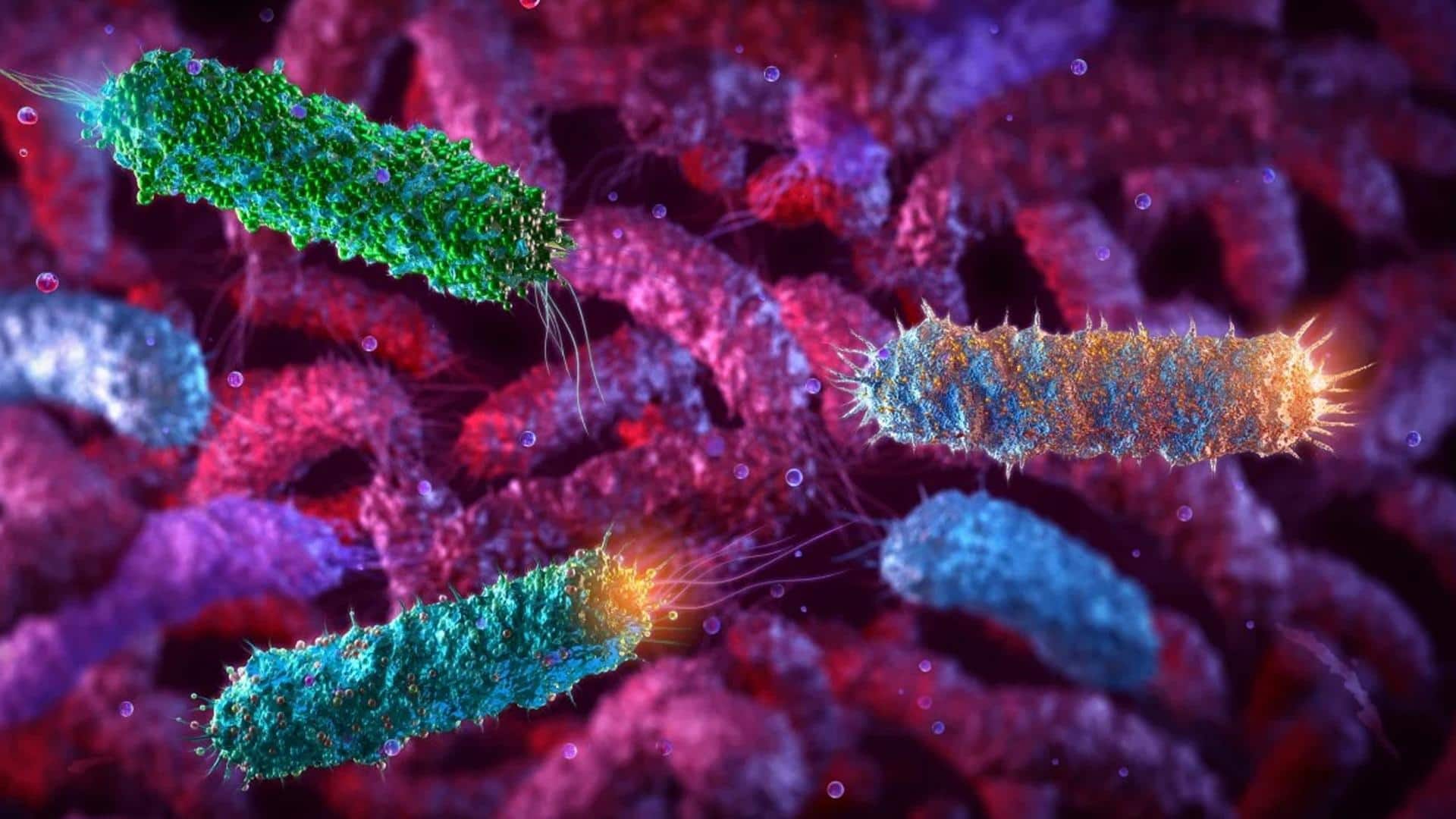 कीमोथेरेपी का विकल्प बन सकता है बैक्टीरिया आधारित इलाज, वैज्ञानिकों की नई खोज