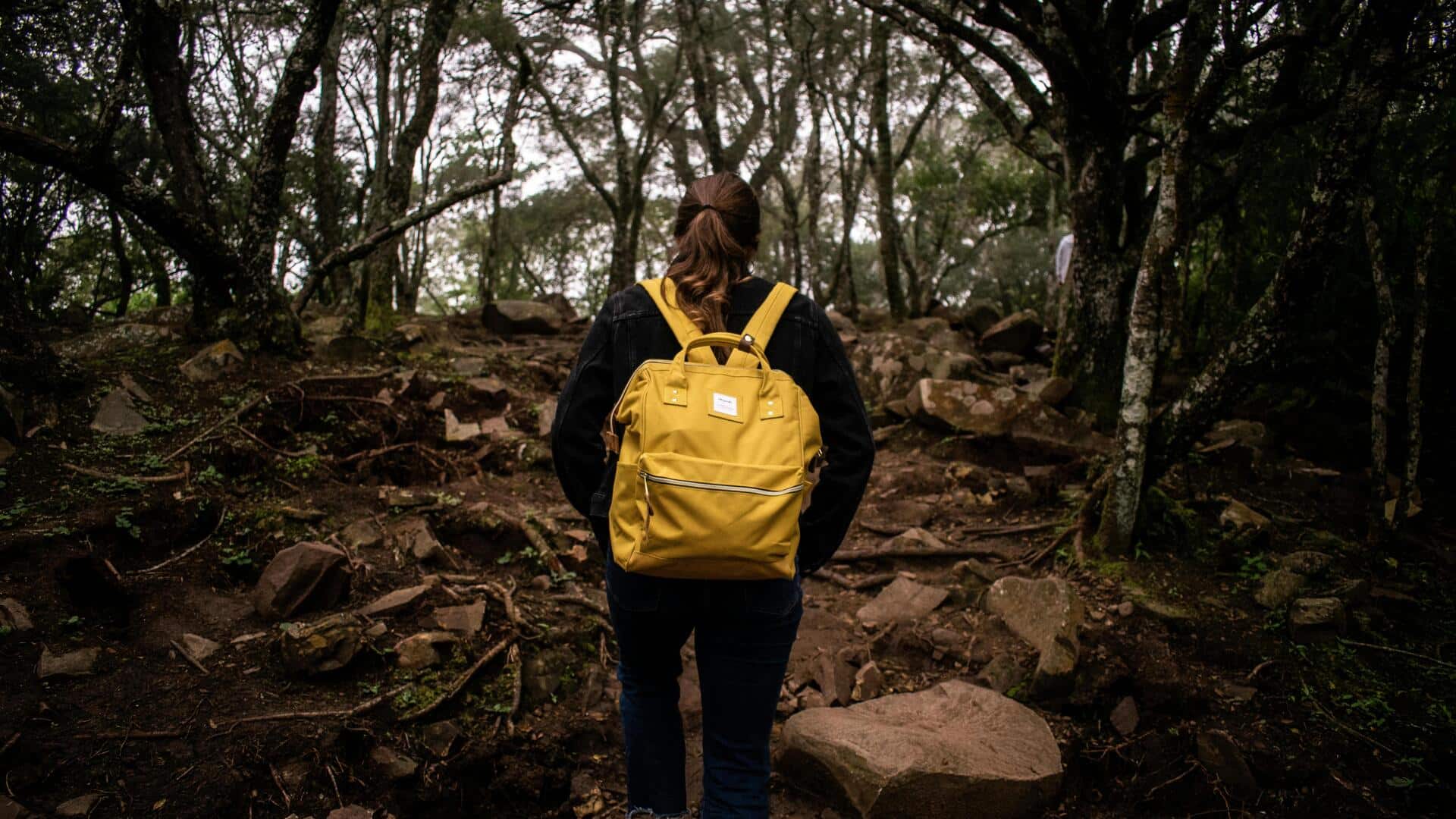 जंगल की ट्रेकिंग के दौरान इन 5 बातों का रखें ध्यान, रहेंगे सुरक्षित