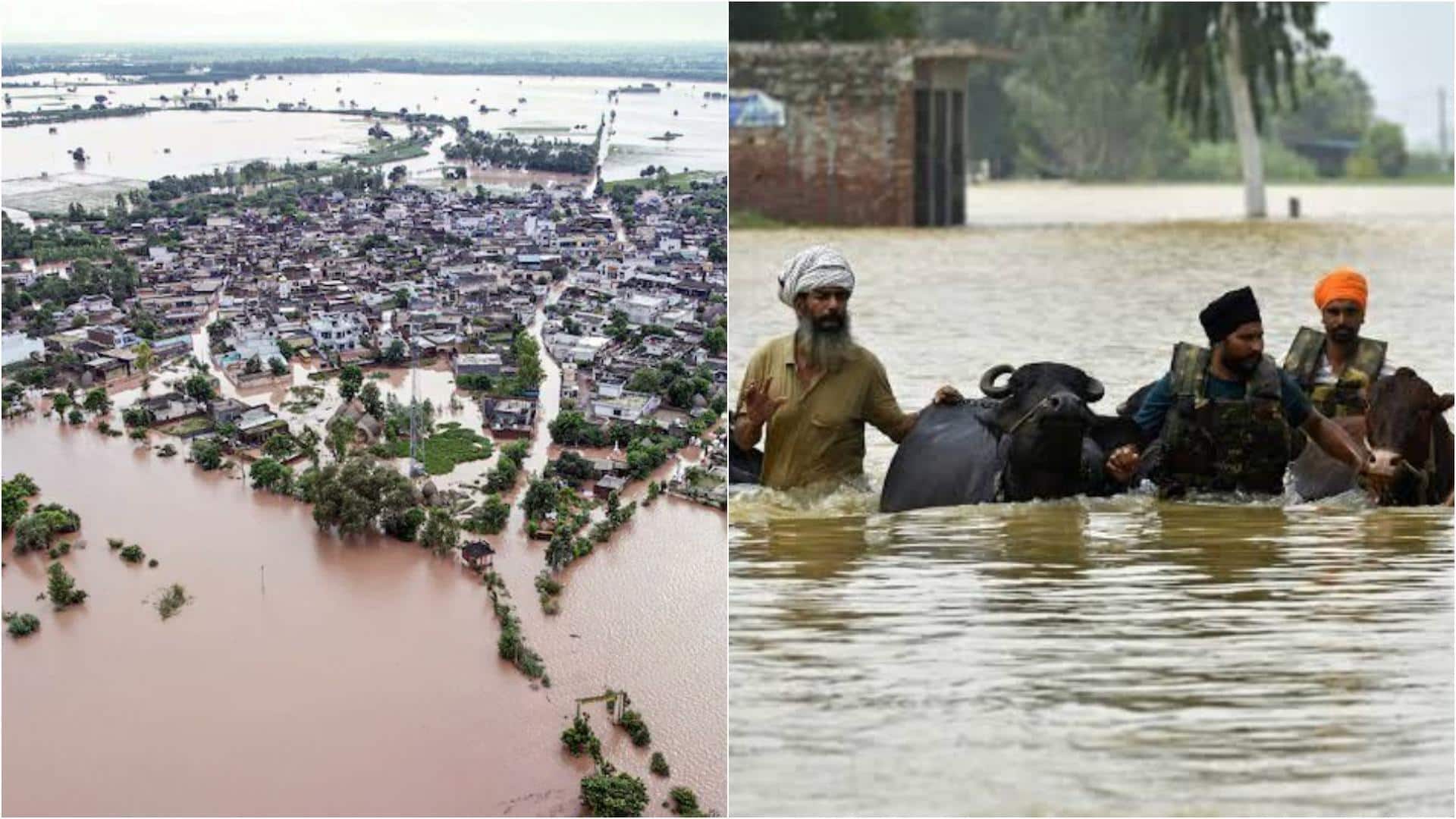 राजस्थान-गुजरात समेत इन राज्यों में भारी बारिश की चेतावनी, जानिए मौसम का हाल राजस्थान-गुजरात समेत इन राज्यों में भारी बारिश की चेतावनी, जानिए मौसम का हाल