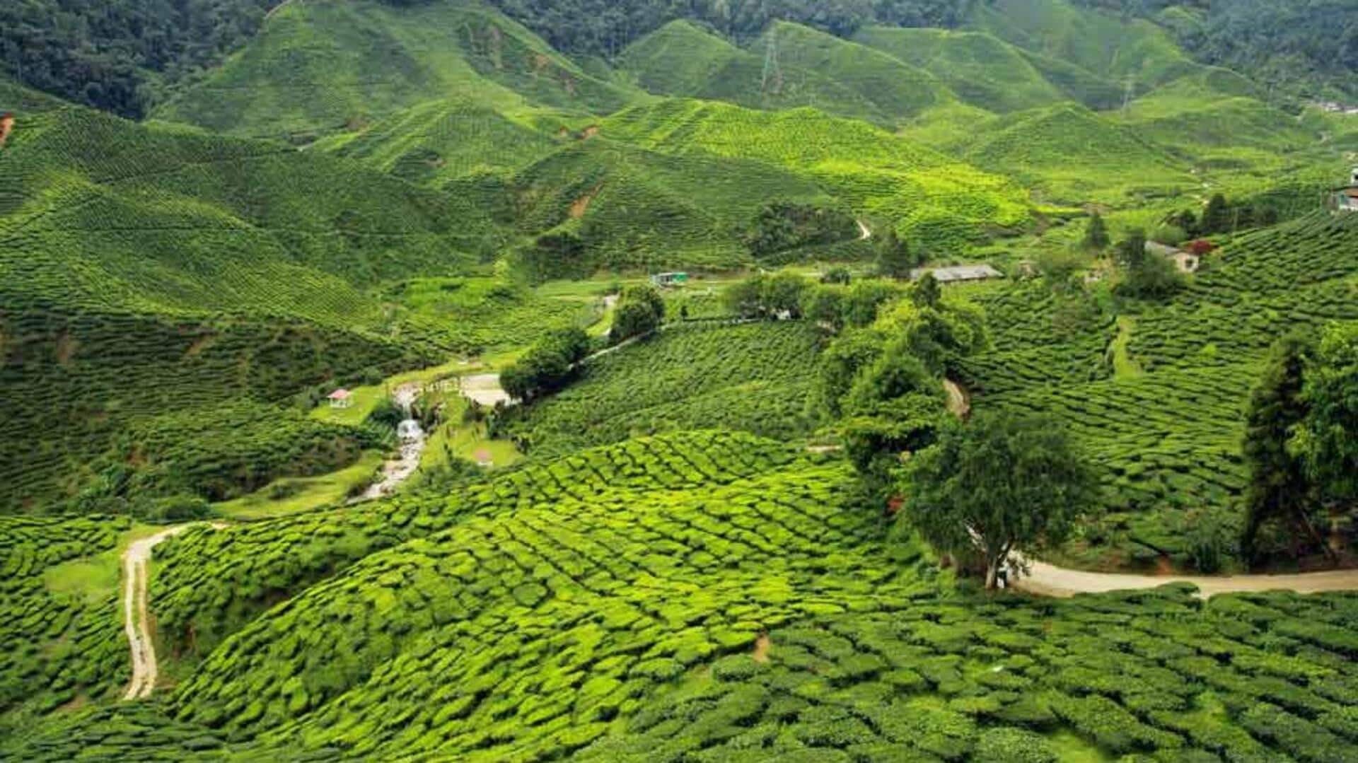 असम की यात्रा करने वाले पर्यटक इन 5 बातों का रखें खास ध्यान