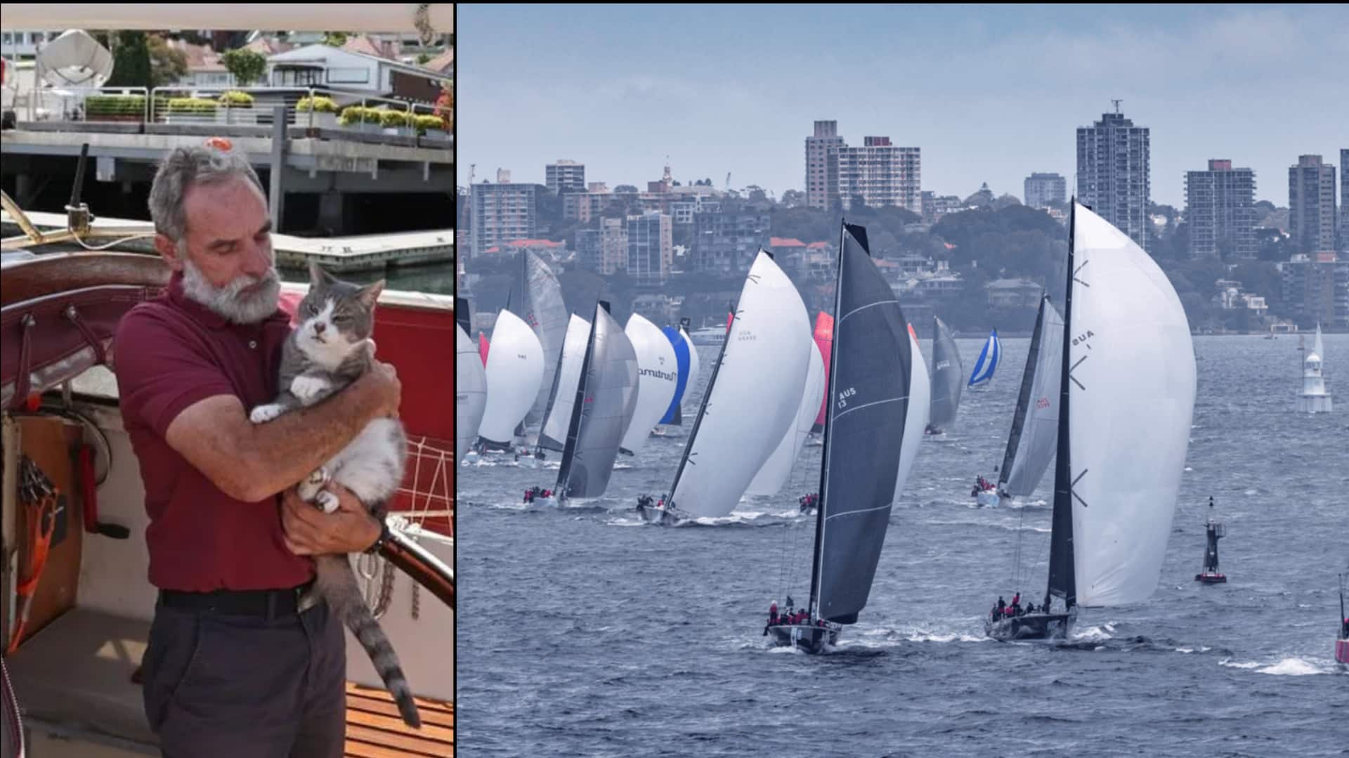 ऑस्ट्रेलिया: नौका दौड़ में पहली बार इंसानों के साथ बिल्ली भी लेगी हिस्सा, होगा ऐतिहासिक पल