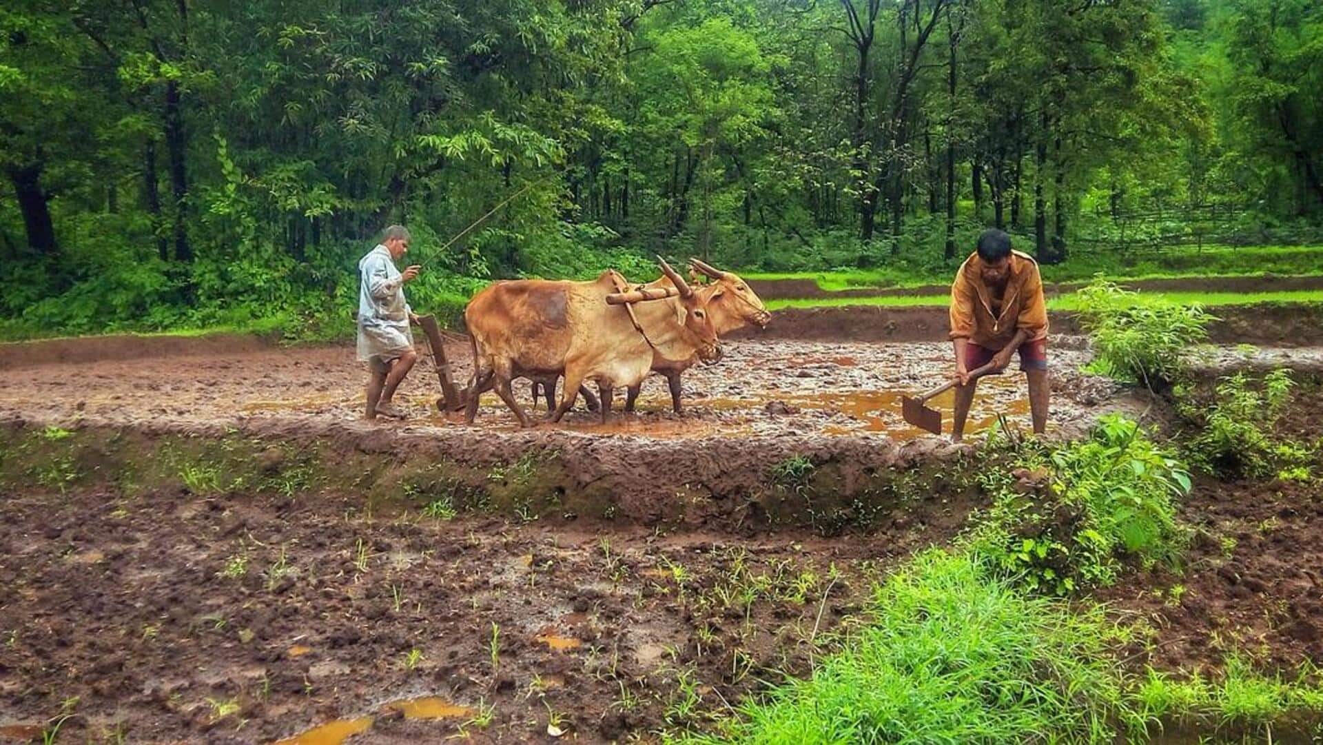 ओडिशा: रायगढ़ में युवक-युवती ने मर्जी से की शादी, ग्रामीणों ने बैल की तरह खेत जुतवाया ओडिशा: रायगढ़ में युवक-युवती ने मर्जी से की शादी, ग्रामीणों ने बैल की तरह खेत जुतवाया