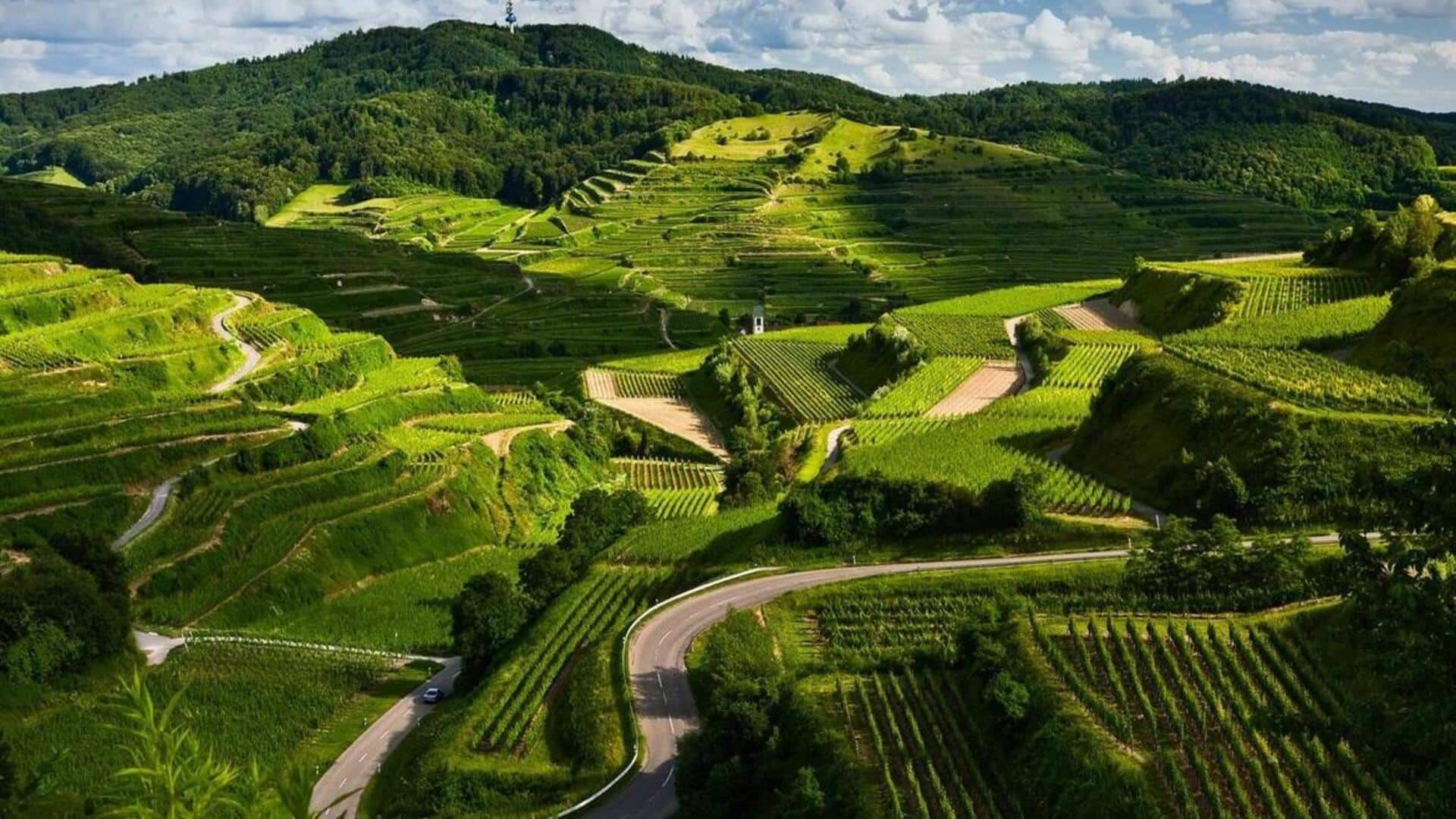 गर्मियों के दौरान कूर्ग की यात्रा का बना रहे हैं प्लान? इन गतिविधियों का लें आनंद