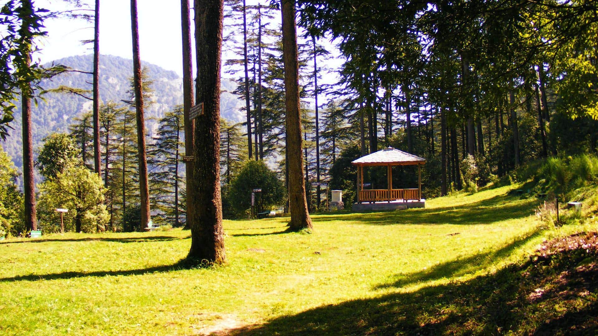 उत्तराखंड: ठंडे मौसम का मजा लेने के लिए धनोल्टी में आजमाएं ये 5 गतिविधियां