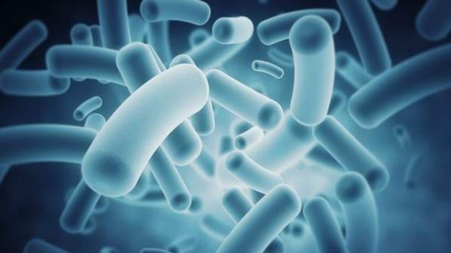 भारत में 5 तरह के बैक्टीरिया से साल 2019 में हुई 6.8 लाख मौतें- लैंसेट अध्ययन