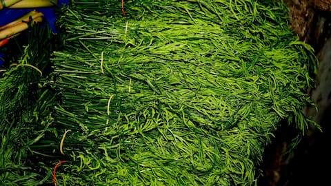 एक खास तरह का साग है क्लाइंबिंग वॉटल, इसके सेवन से होंगे ये स्वास्थ्य संबंधी लाभ