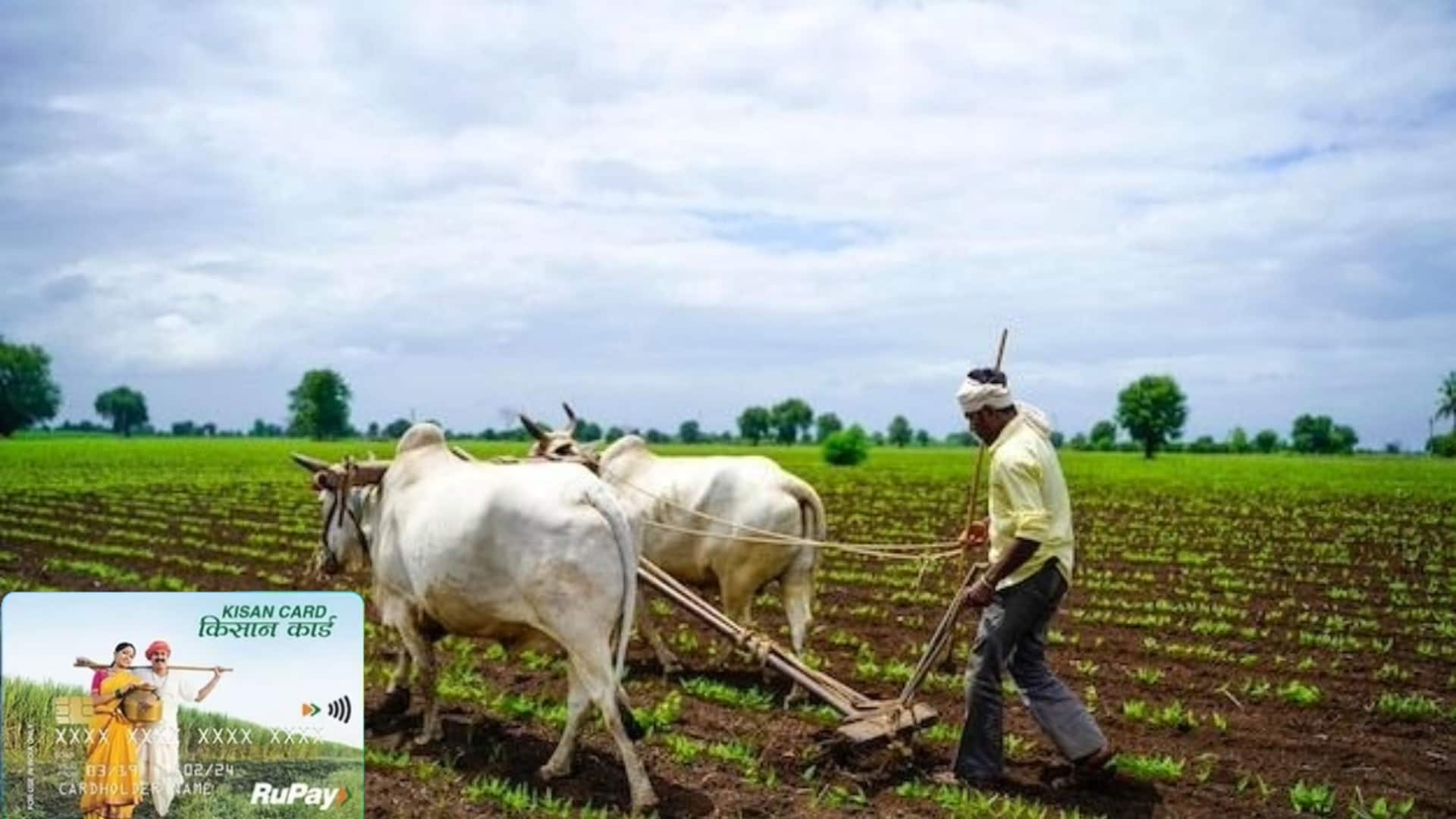 किसान क्रेडिट कार्ड के लिए कैसे करें आवेदन? जानिए इसके फायदे किसान क्रेडिट कार्ड के लिए कैसे करें आवेदन? जानिए इसके फायदे