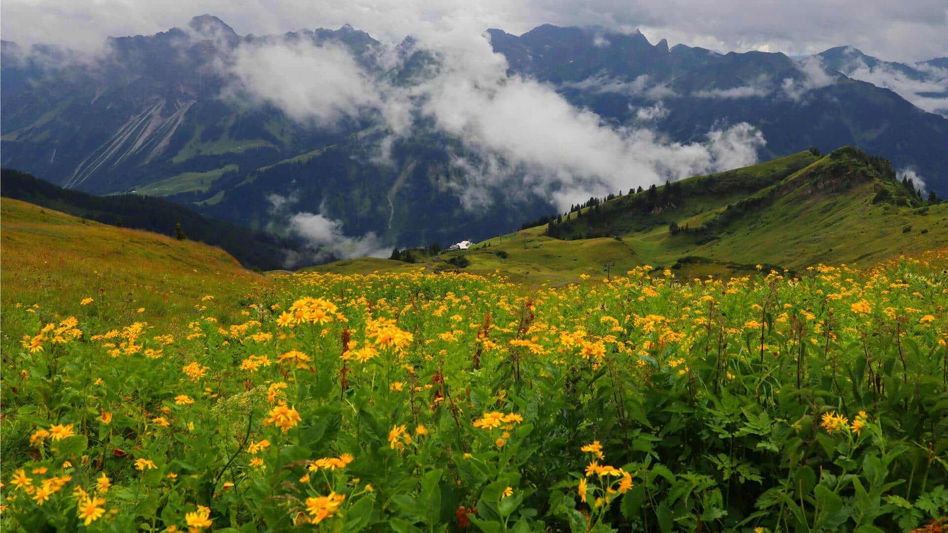 उत्तराखंड: फूलों की घाटी जाएं तो जरूर लें इन गतिविधियों का आनंद 